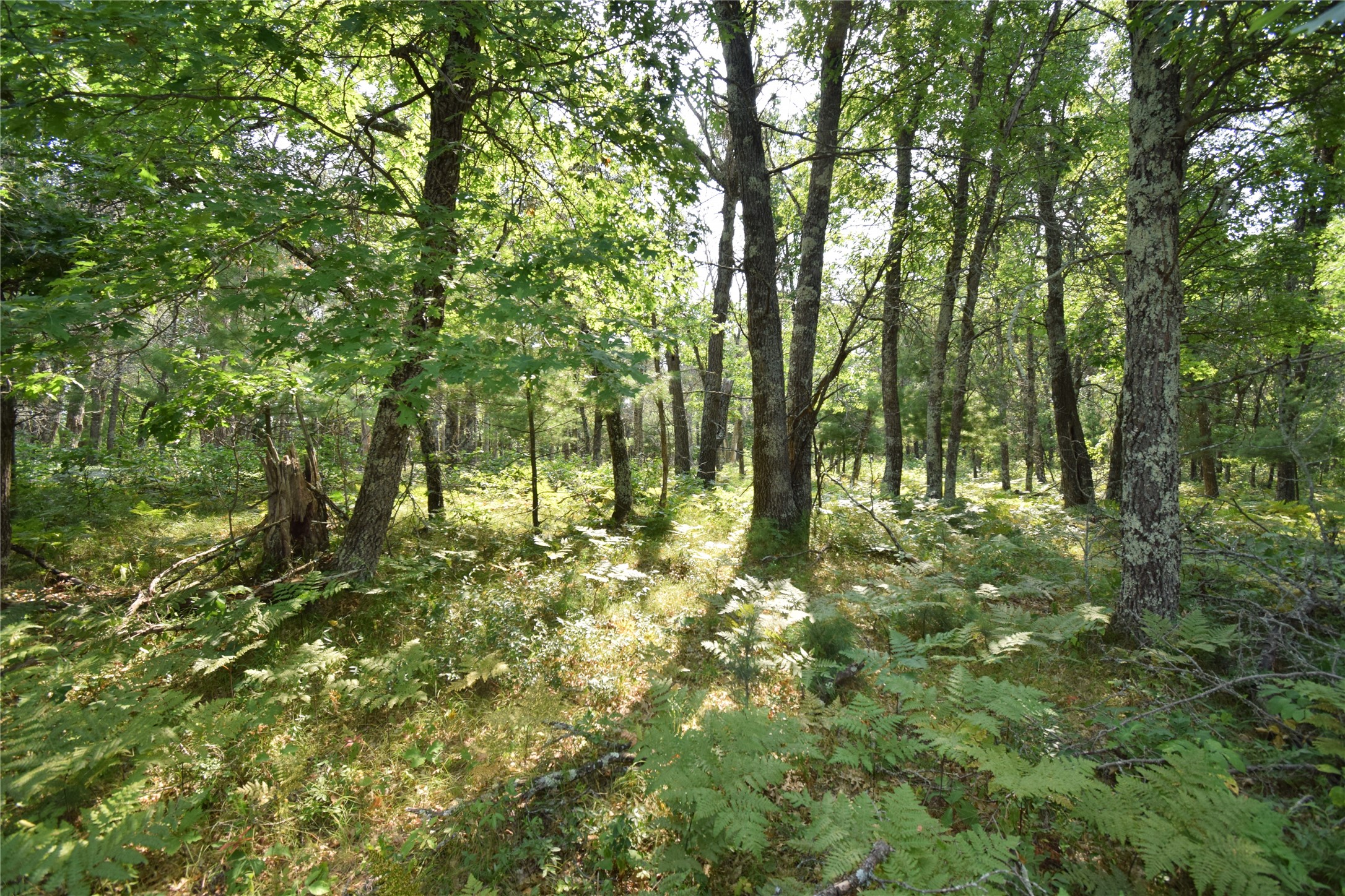 Lot 5 South Point Trail Property Photo 3