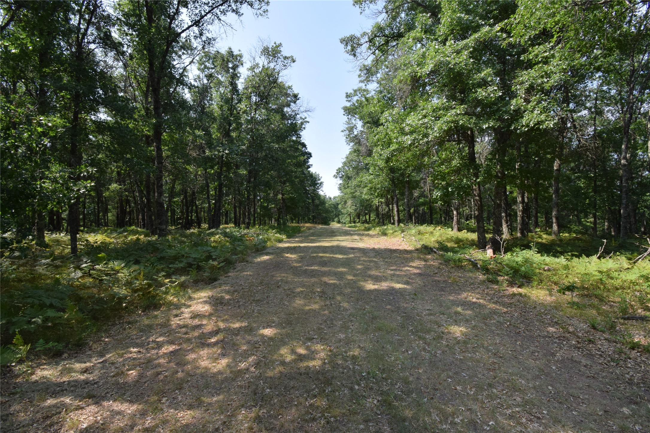 Lot 5 South Point Trail Property Photo 8
