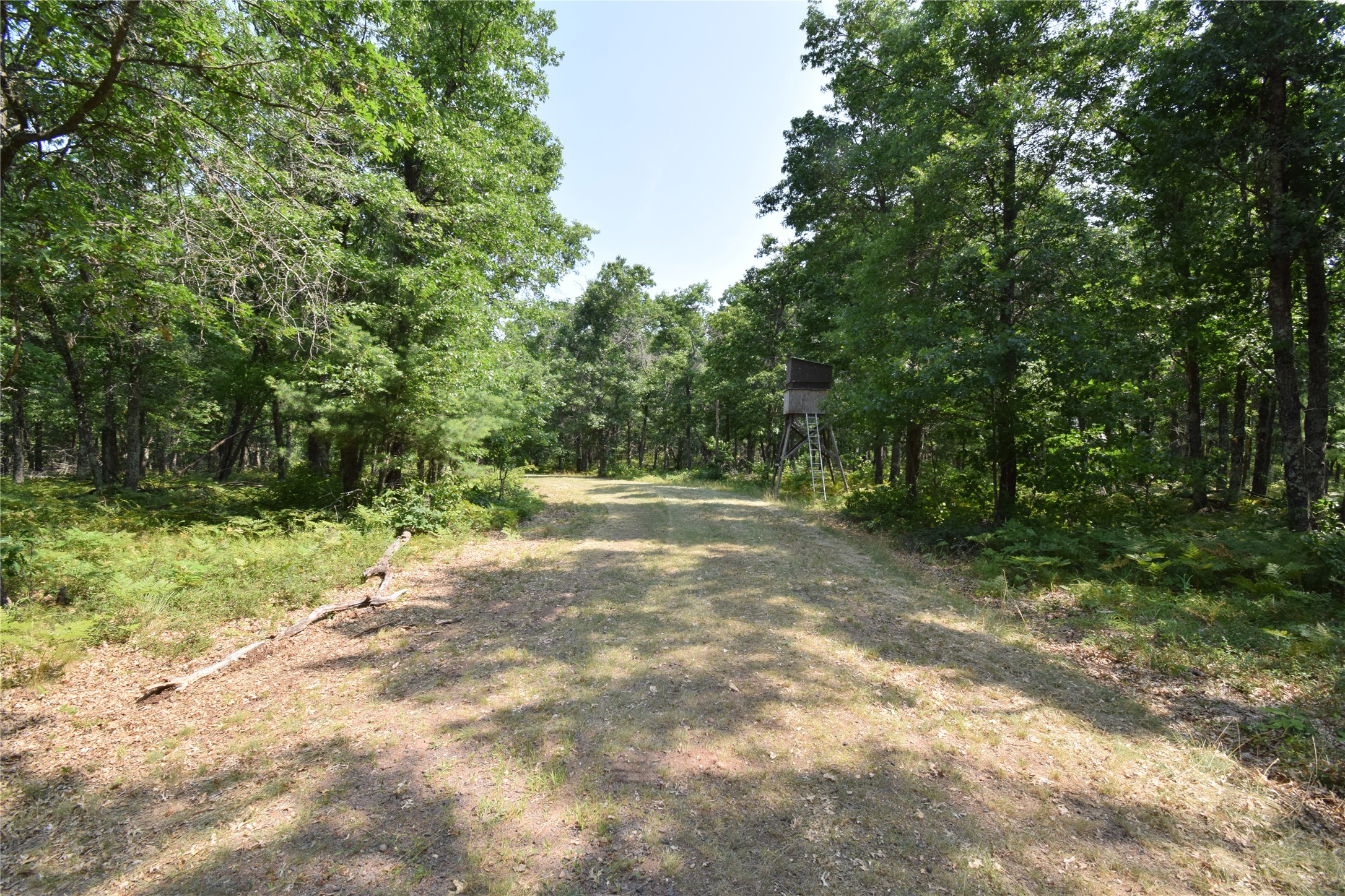 Lot 5 South Point Trail Property Photo 9