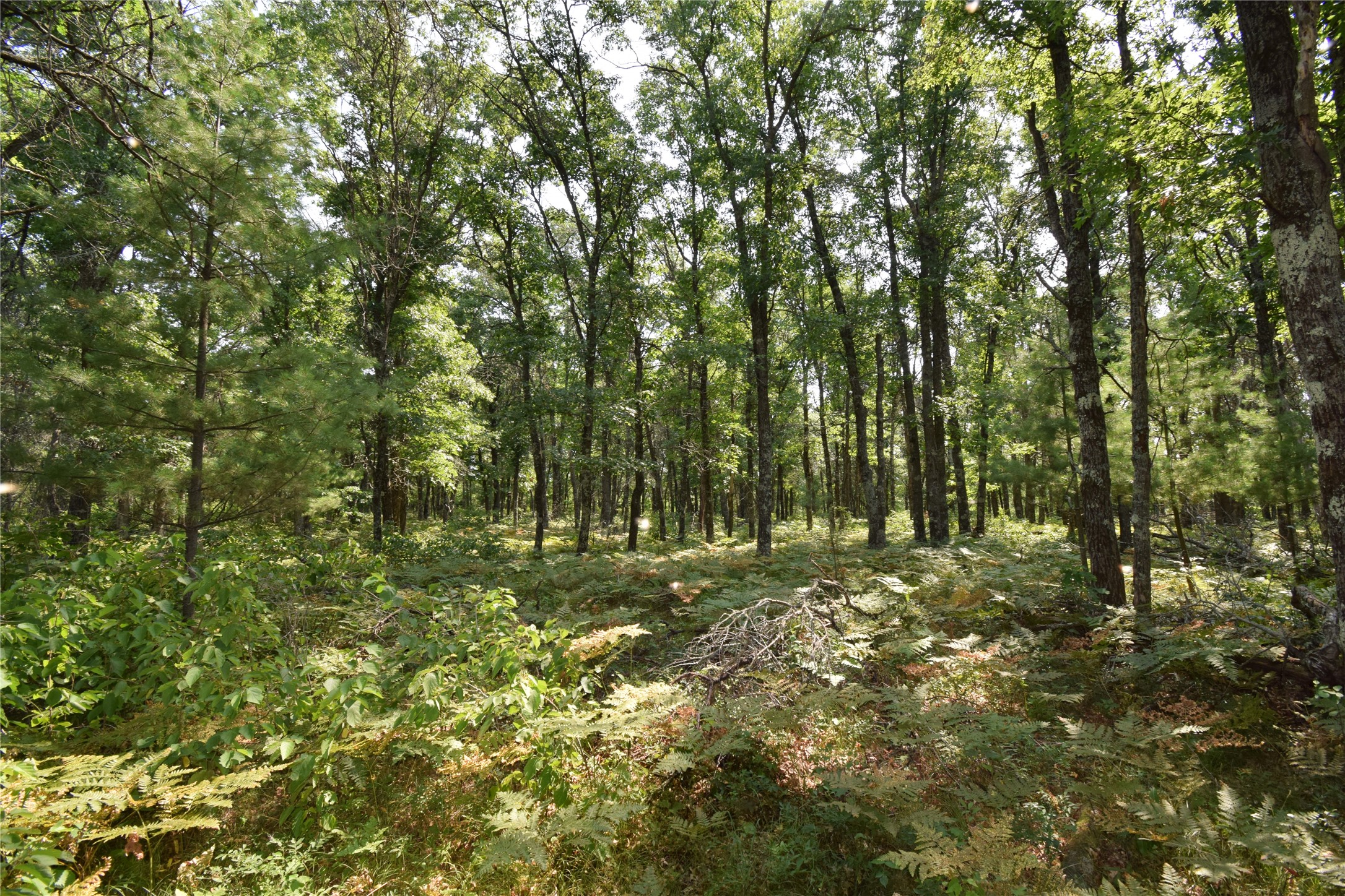 Lot 5 South Point Trail Property Photo 10