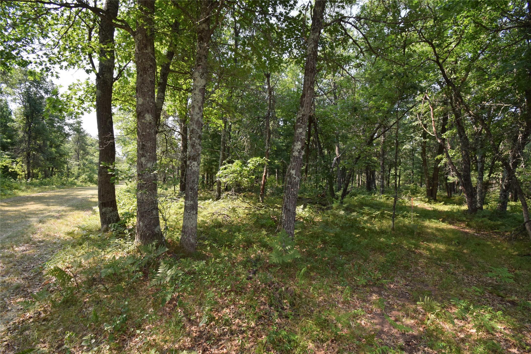 Lot 5 South Point Trail Property Photo 14