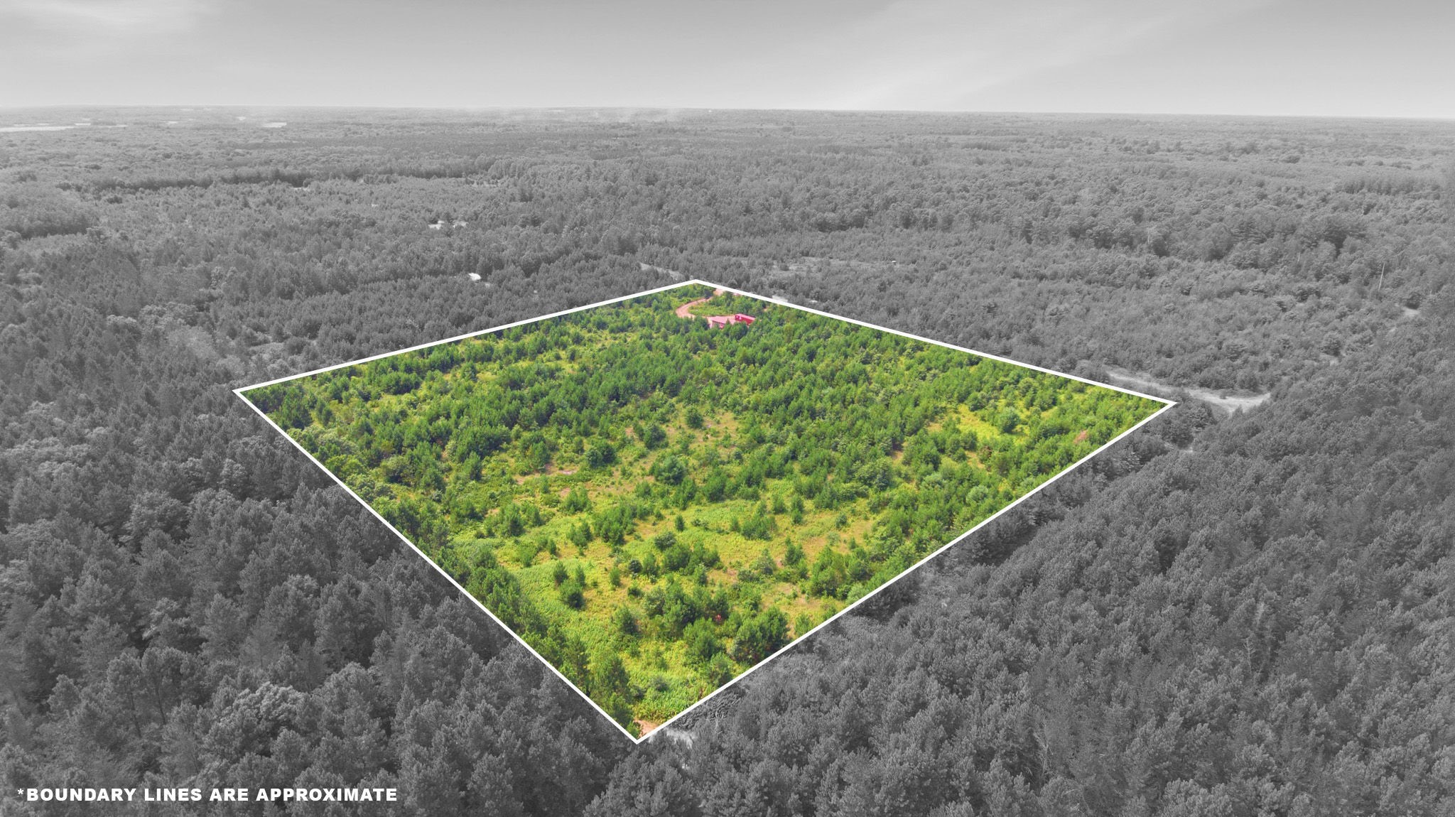 26162 Ashtons Trail Property Photo 3