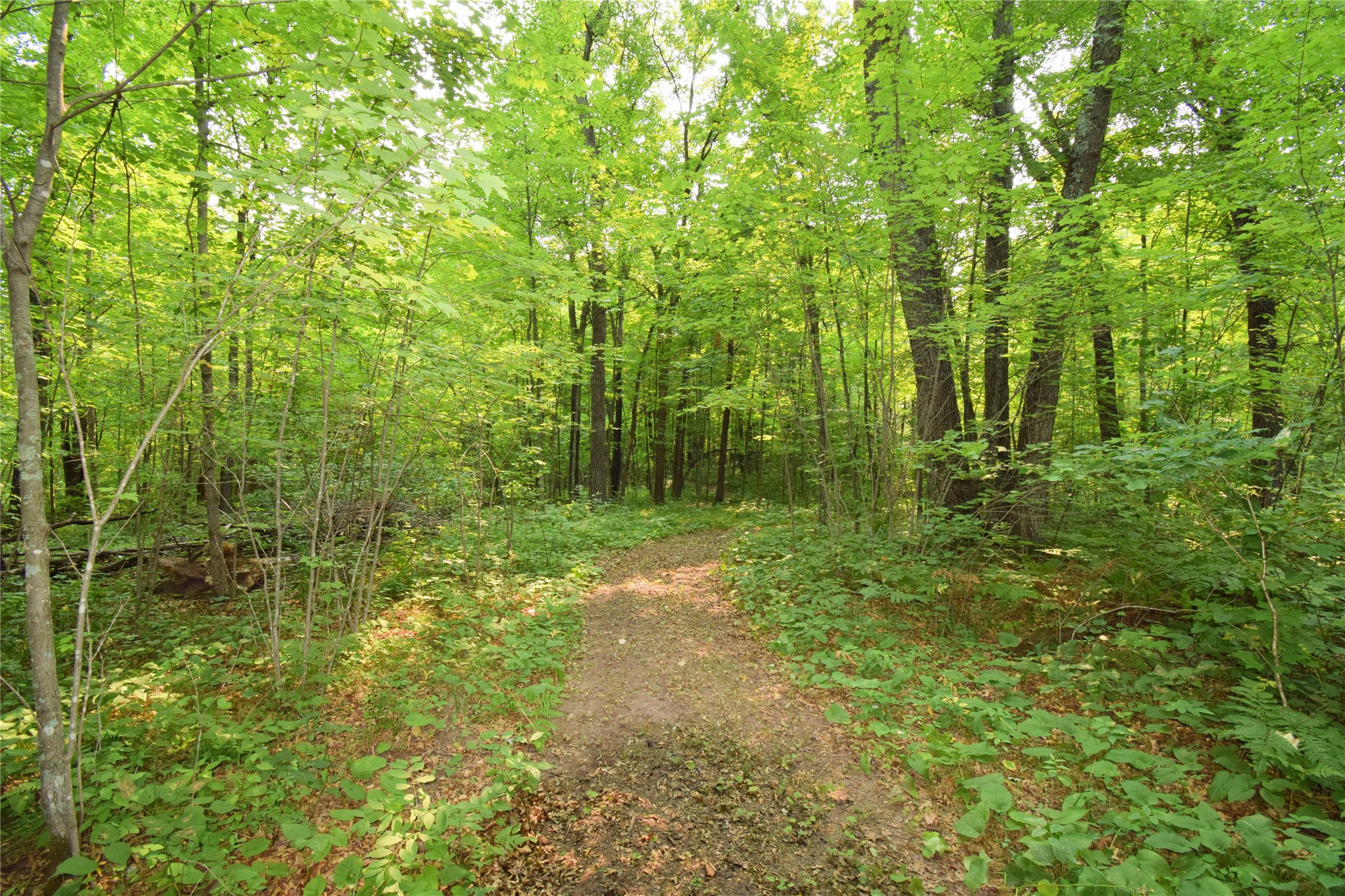 25707 Smith Road Property Photo 7
