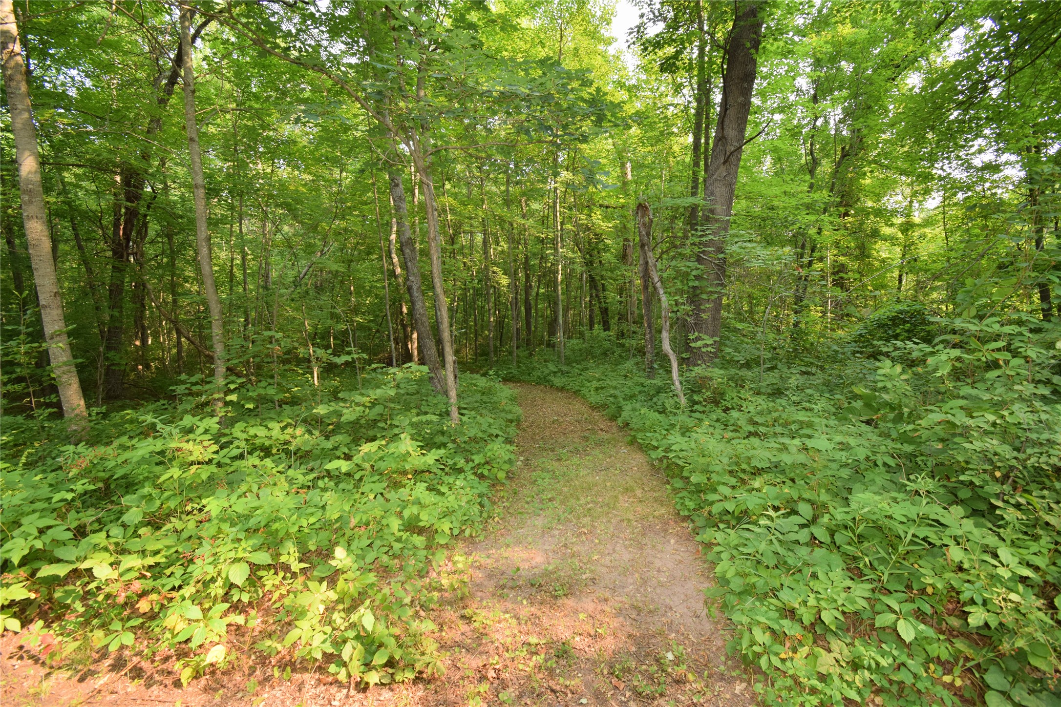 25707 Smith Road Property Photo 48