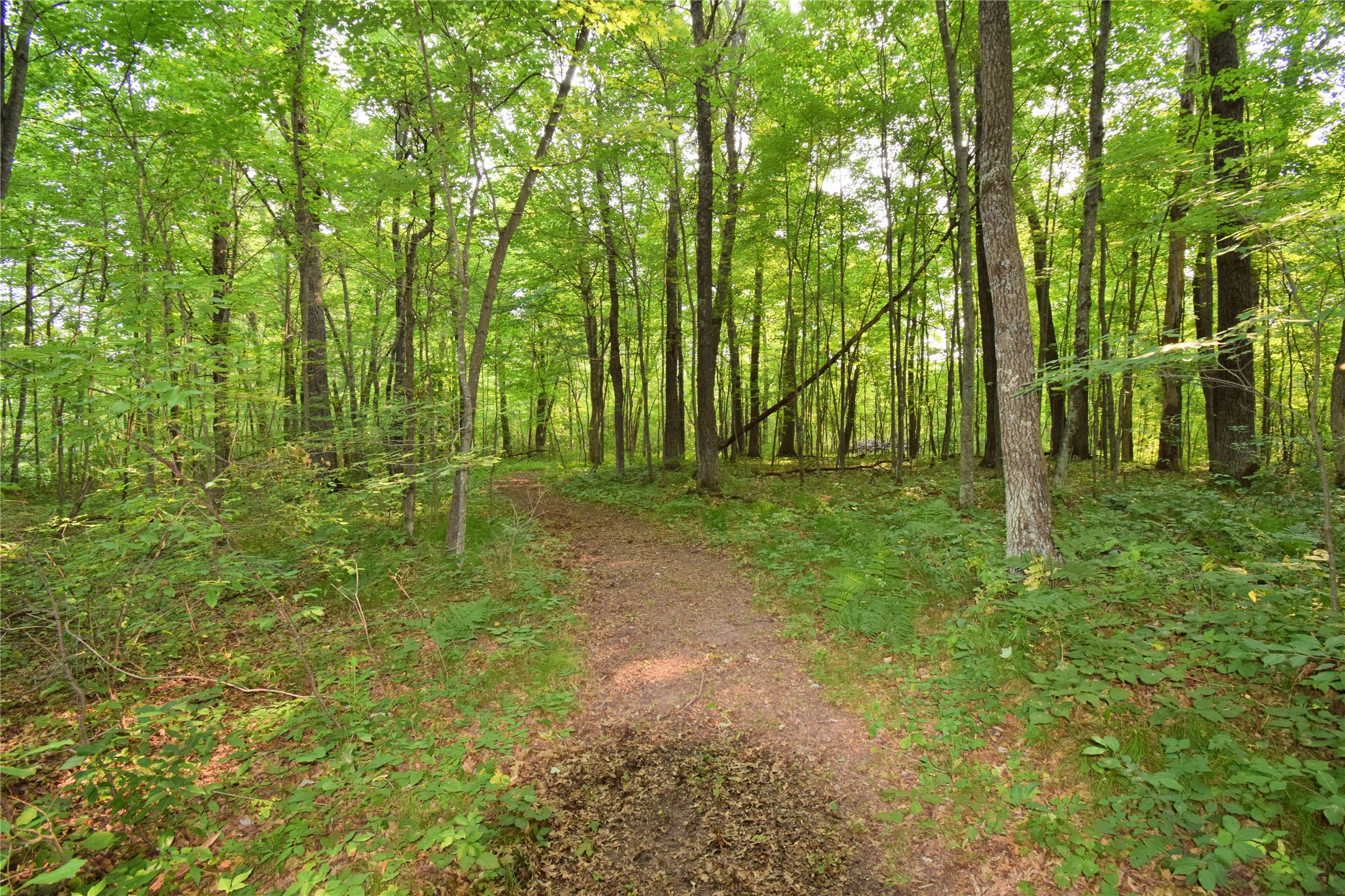 25707 Smith Road Property Photo 49
