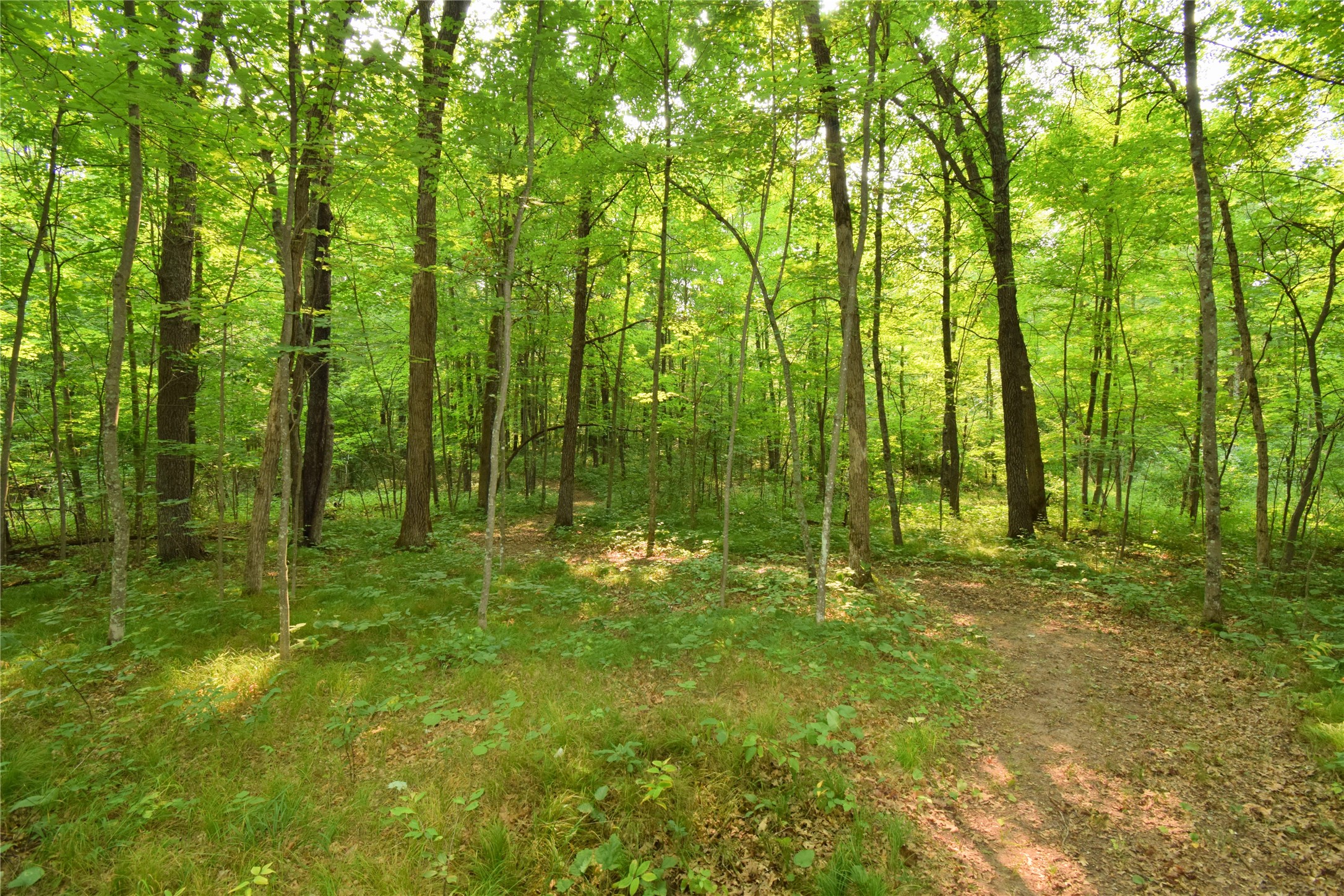 25707 Smith Road Property Photo 50