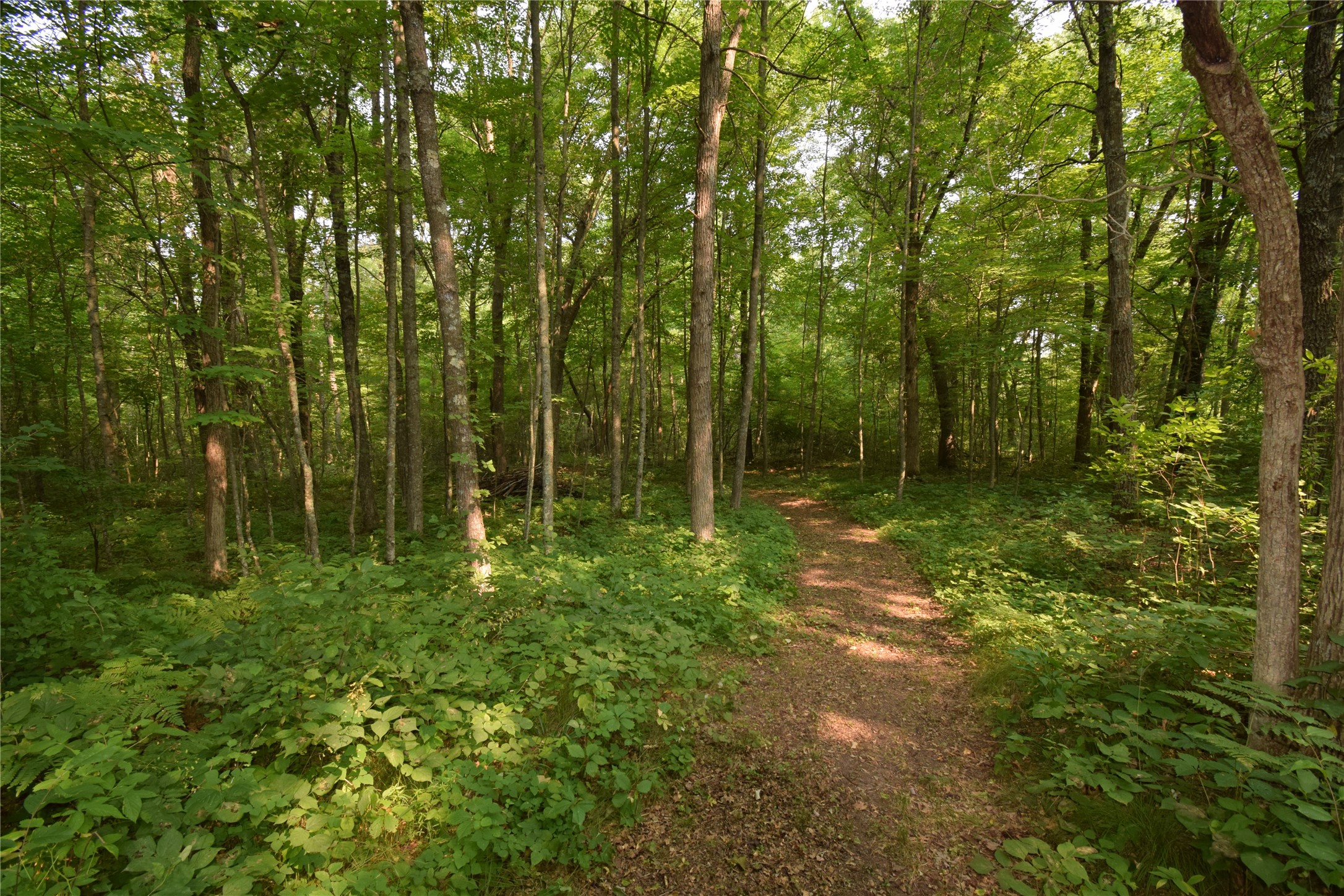 25707 Smith Road Property Photo 51