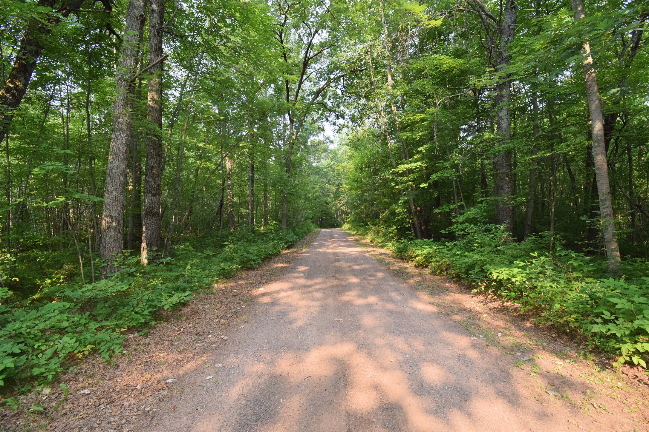 25707 Smith Road Property Photo 58