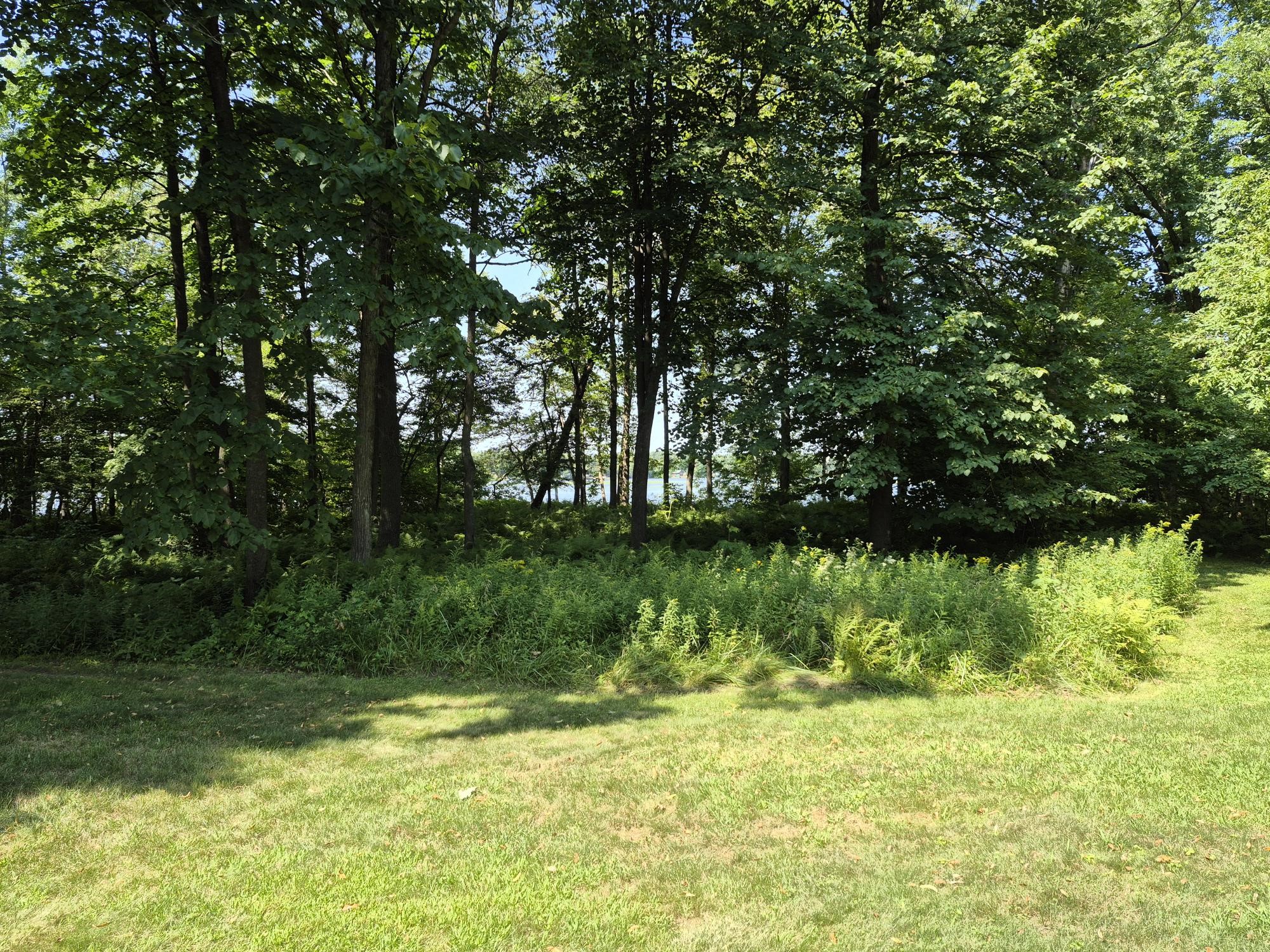29308 305th Avenue Property Photo 59