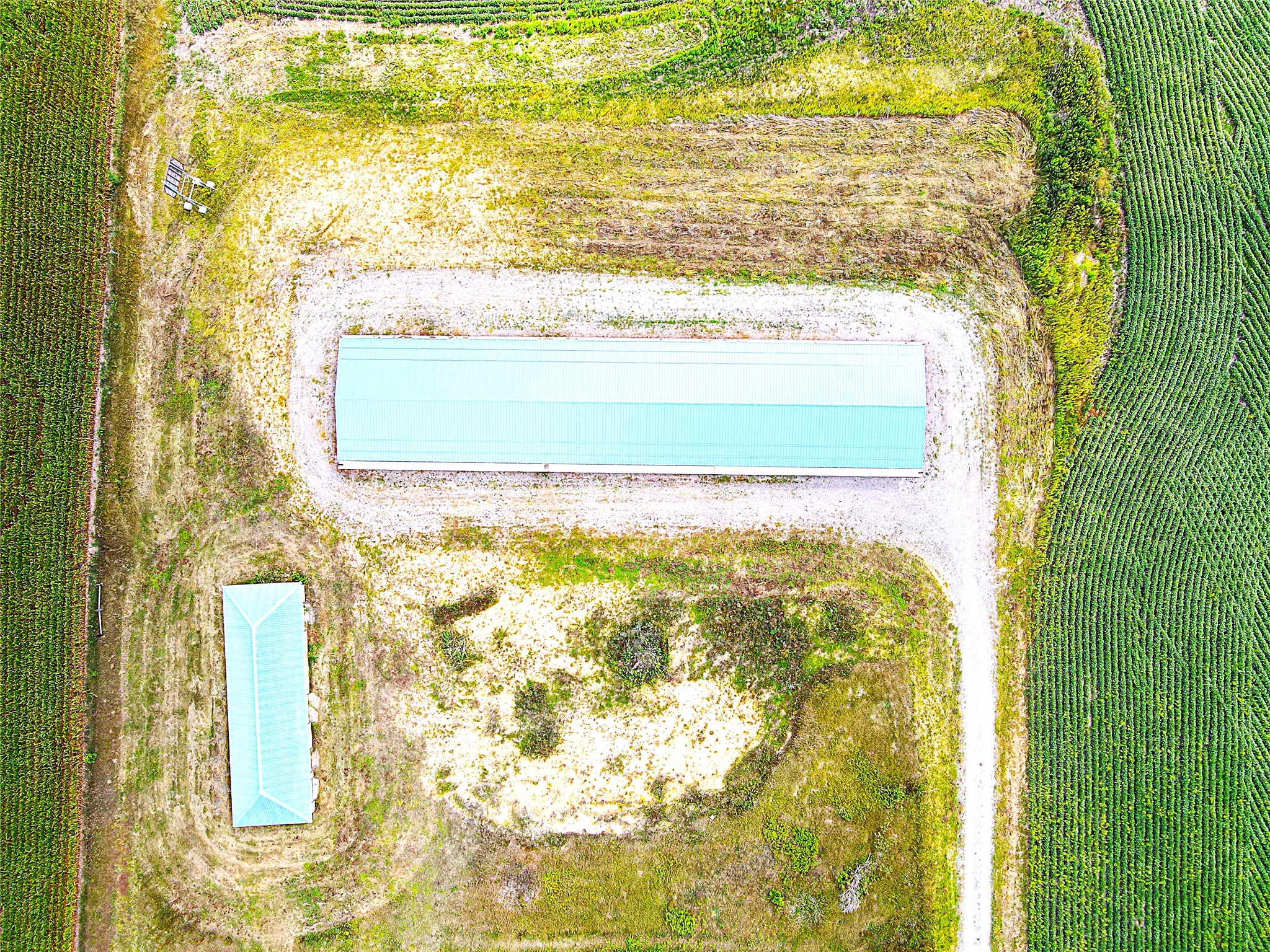 13.81 Acres Van Tassel Road Property Photo 7