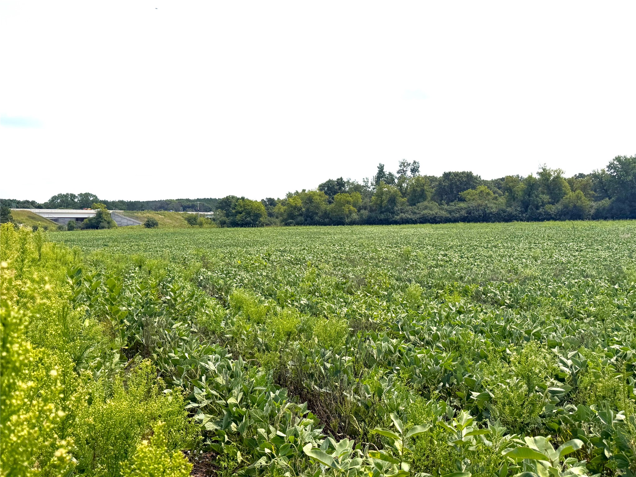 8.28 Acres Van Tassel Road Property Photo 9