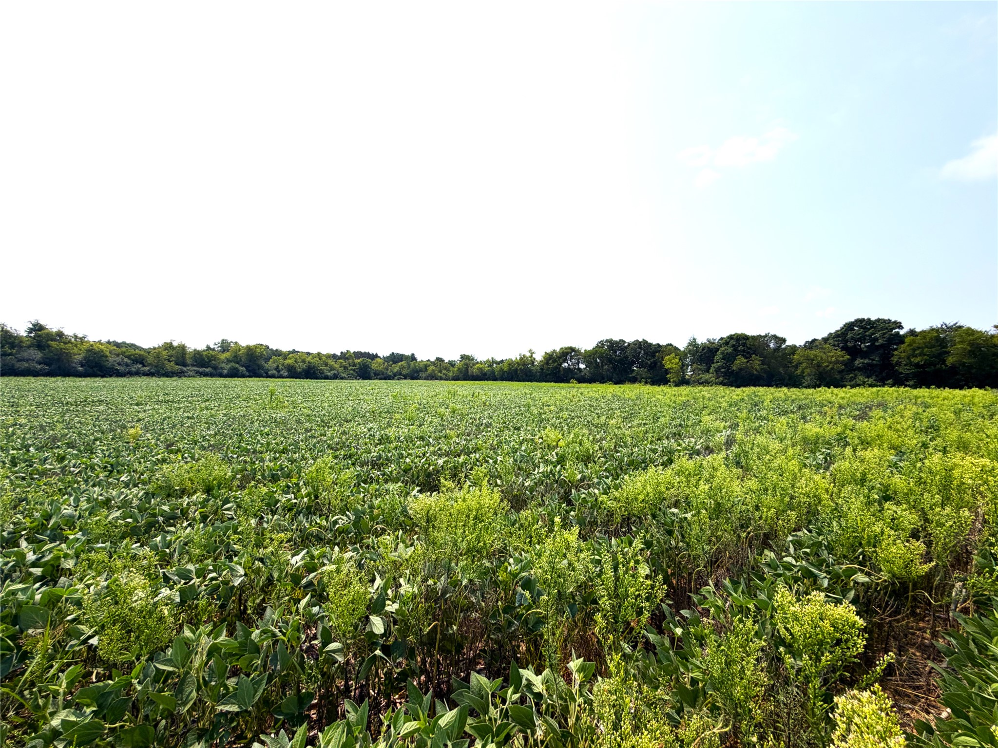 8.28 Acres Van Tassel Road Property Photo 10