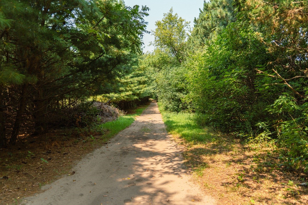 0 County Road N Property Photo 8