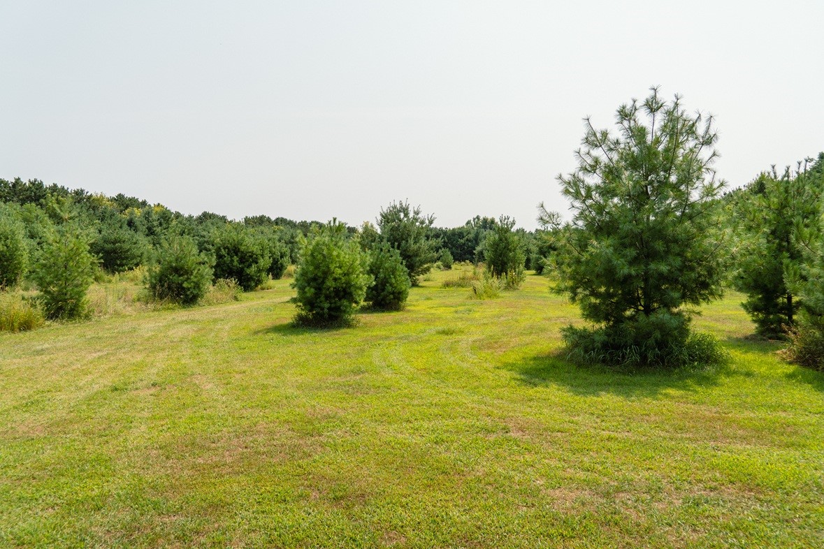 0 County Road N Property Photo 23