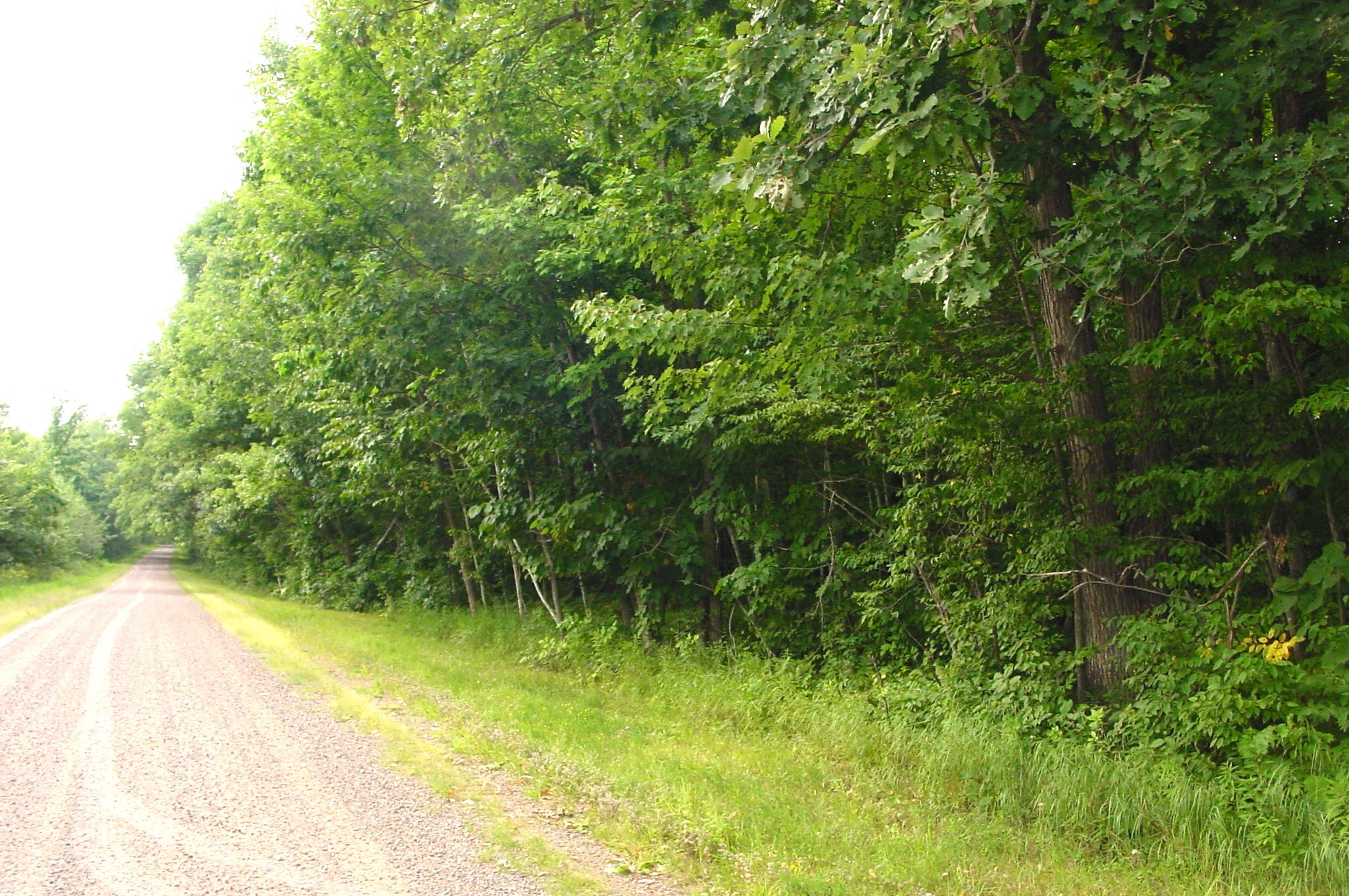 80 Acres On Bailey Road Property Photo 1