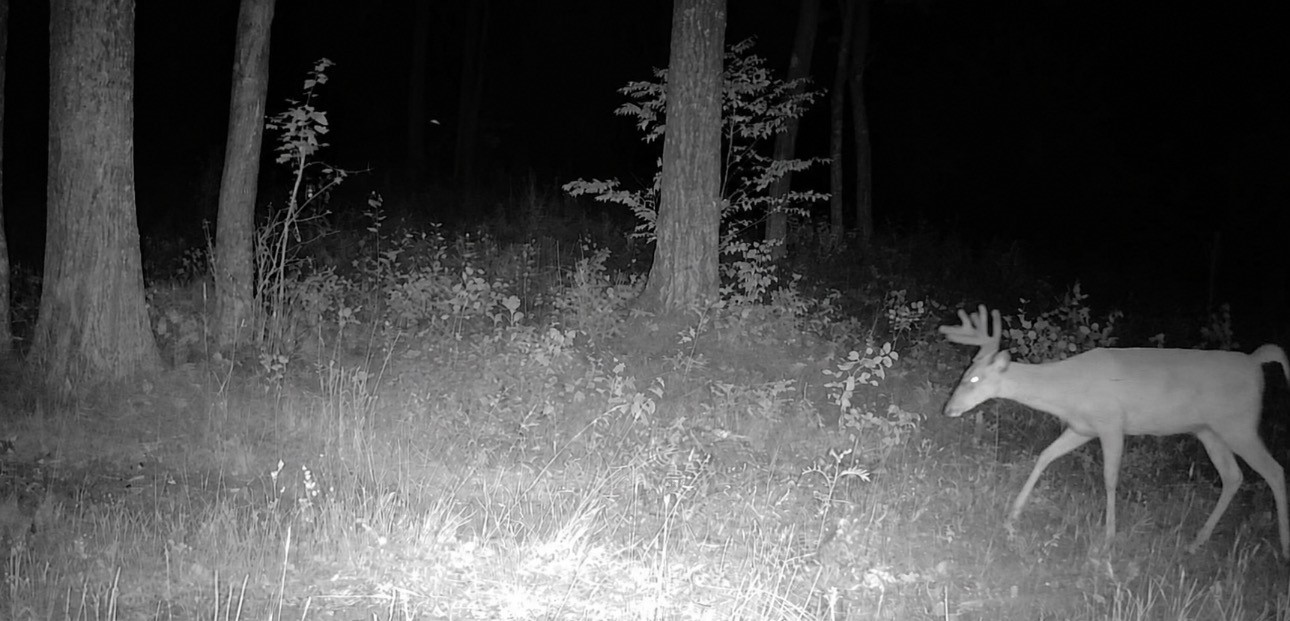 9211 N Tripp Road Property Photo 16