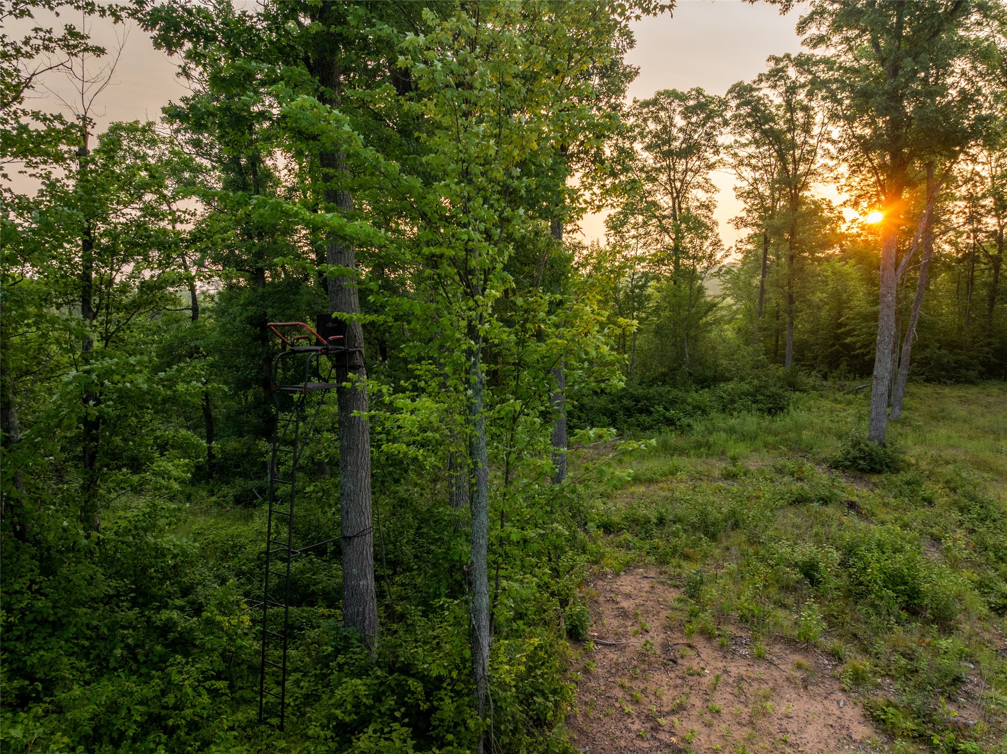 9211 N Tripp Road Property Photo 34