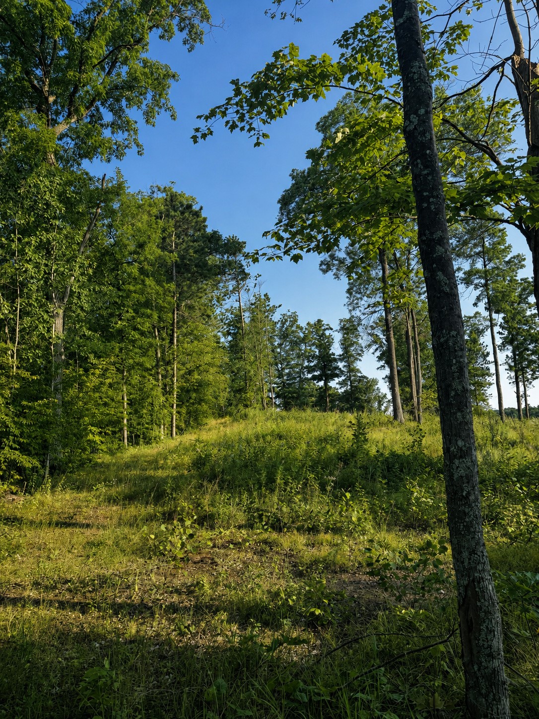 9211 N Tripp Road Property Photo 40