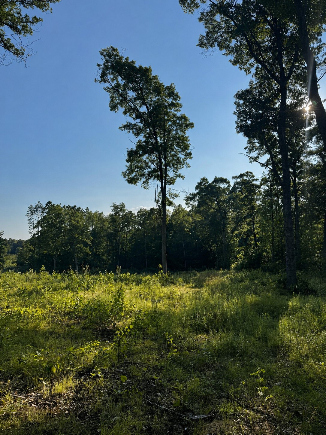 9211 N Tripp Road Property Photo 41