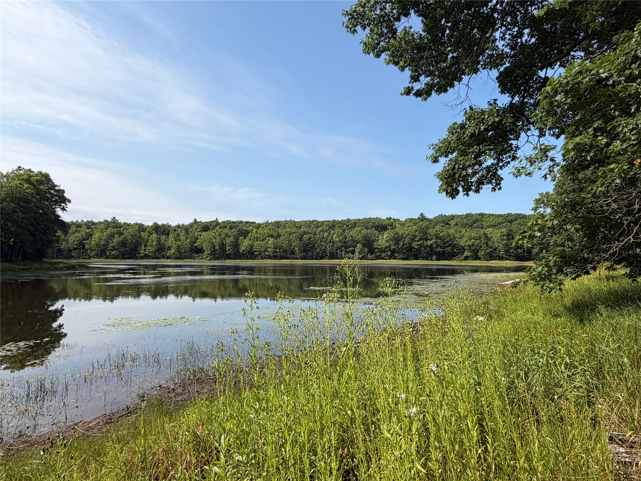 On Strabel Road Property Photo 1