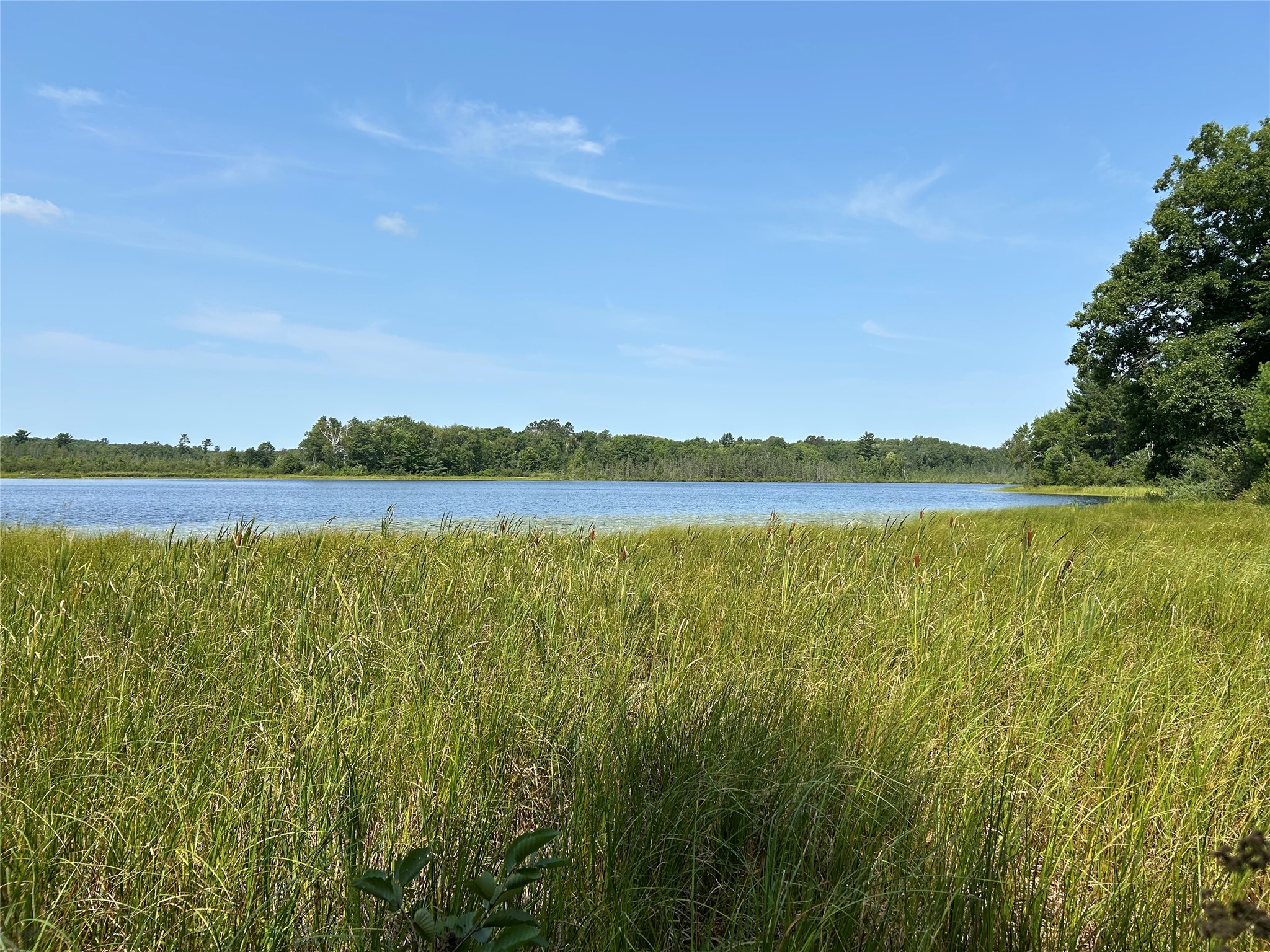 On Strabel Road Property Photo 2