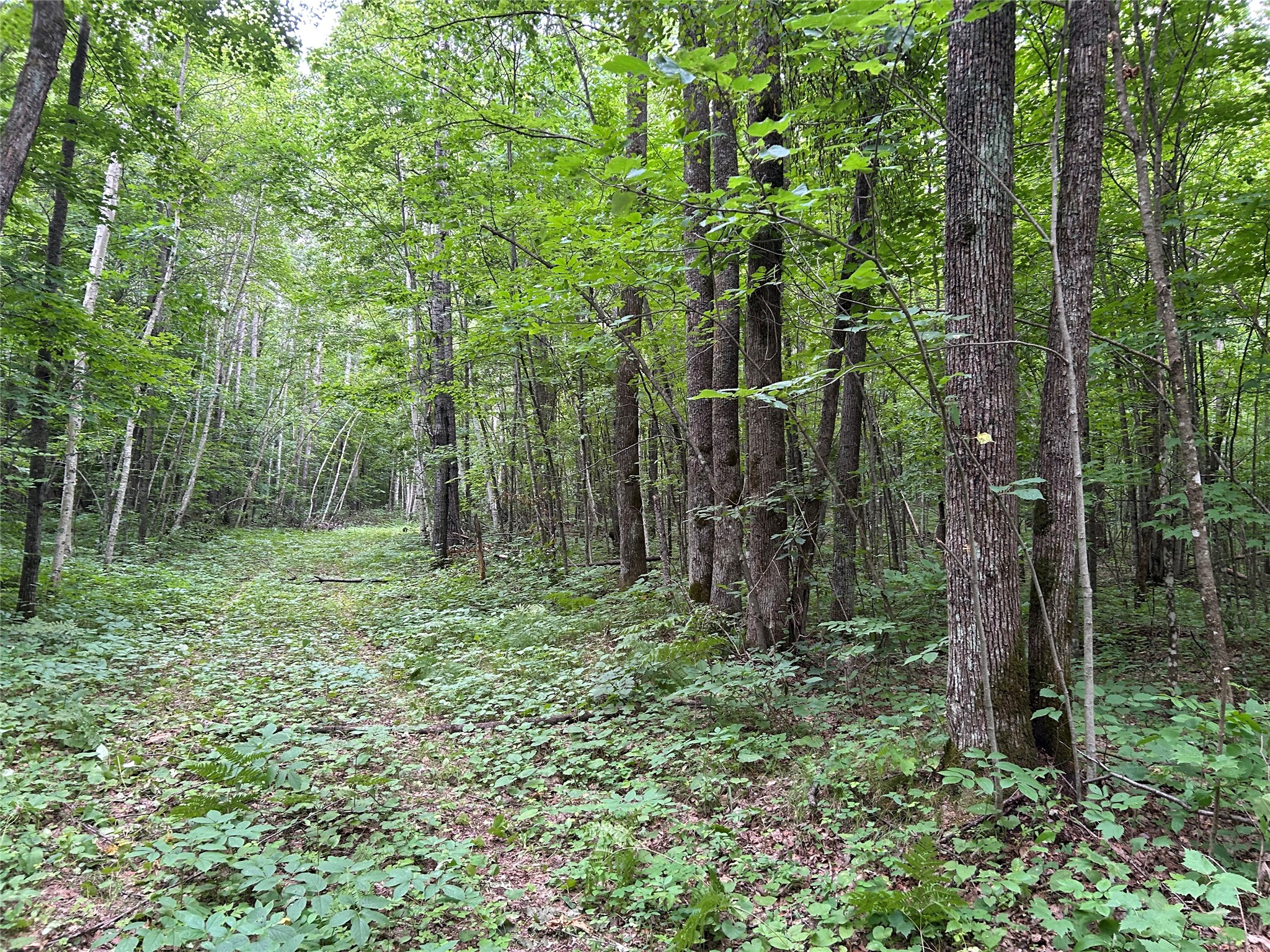 On Strabel Road Property Photo 4
