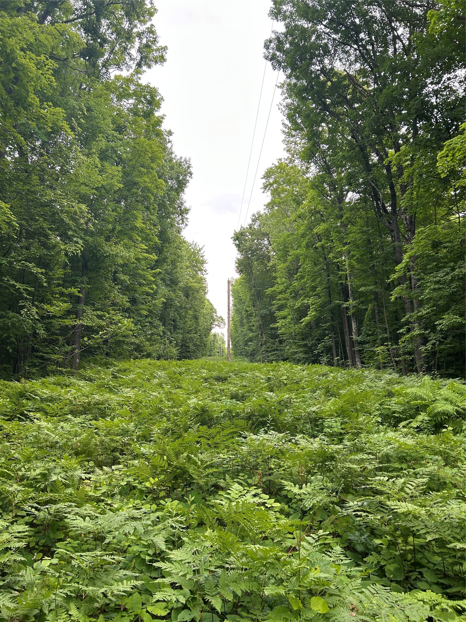 On Strabel Road Property Photo 10