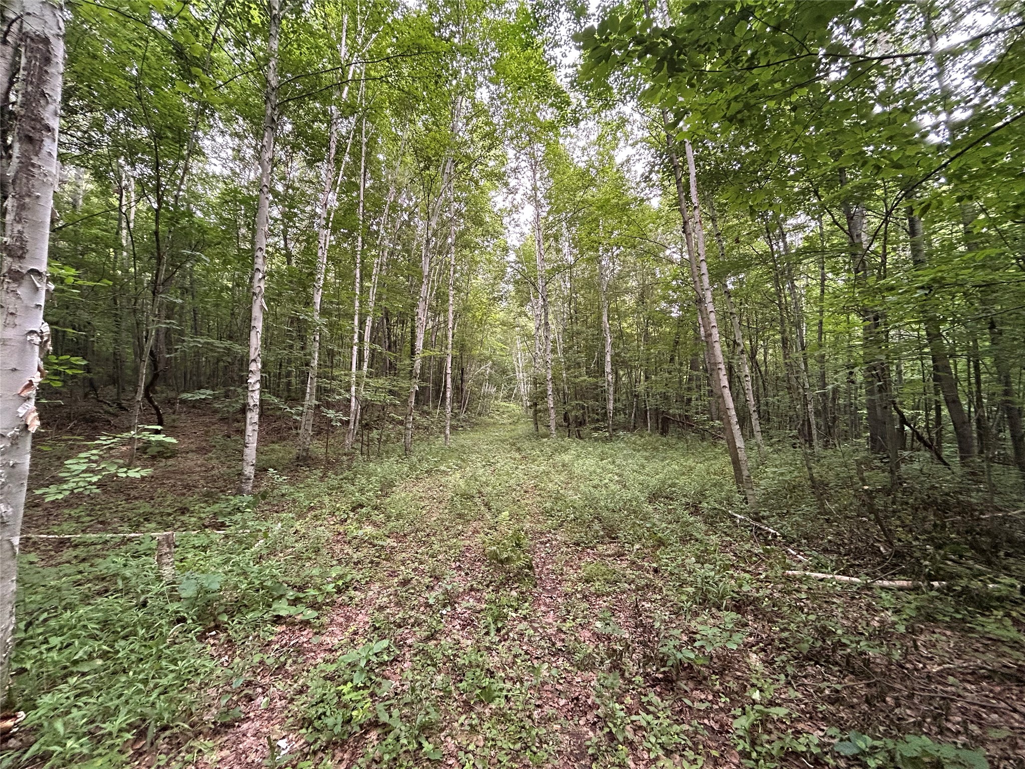 On Strabel Road Property Photo 11