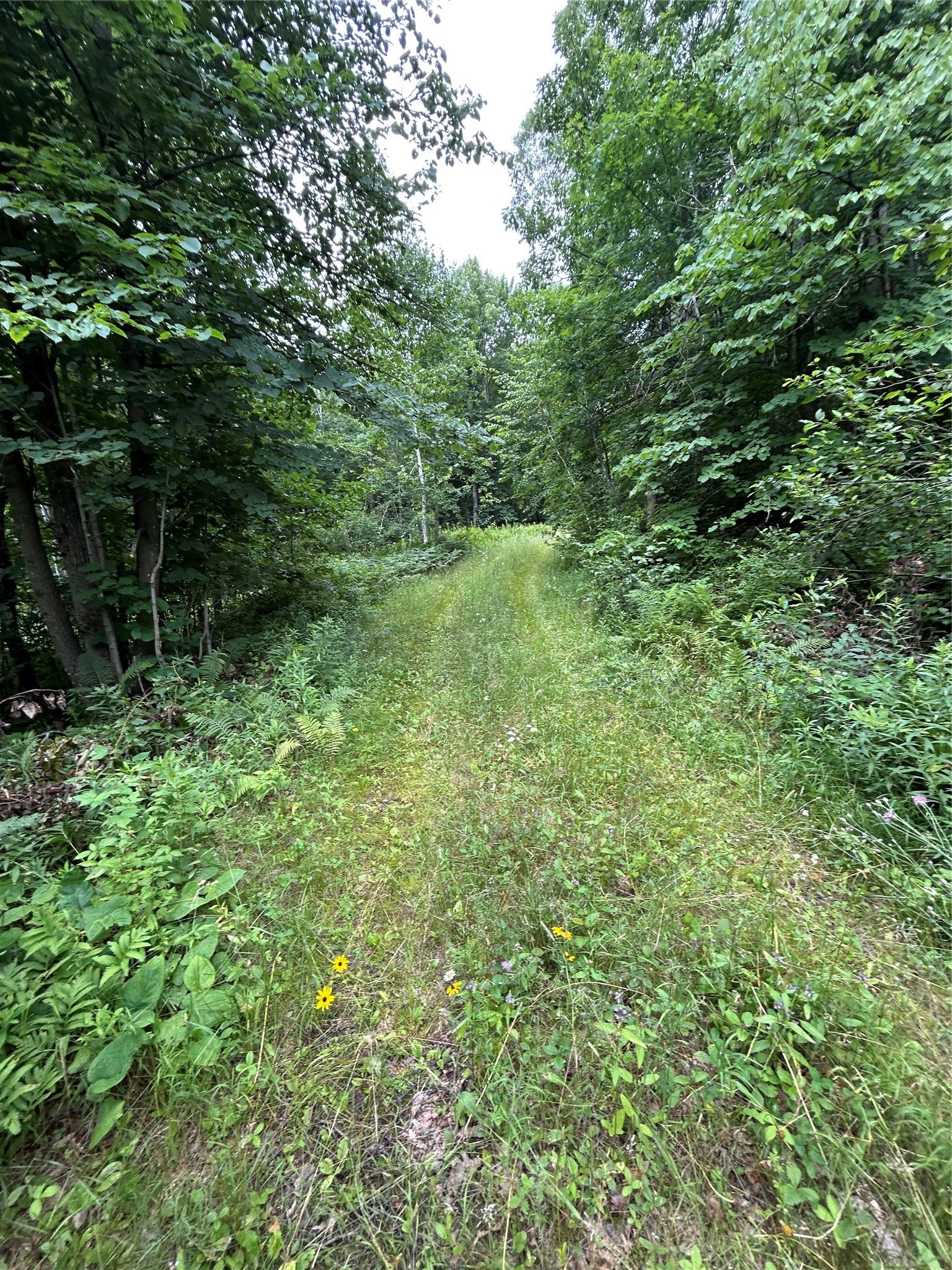 On Strabel Road Property Photo 12