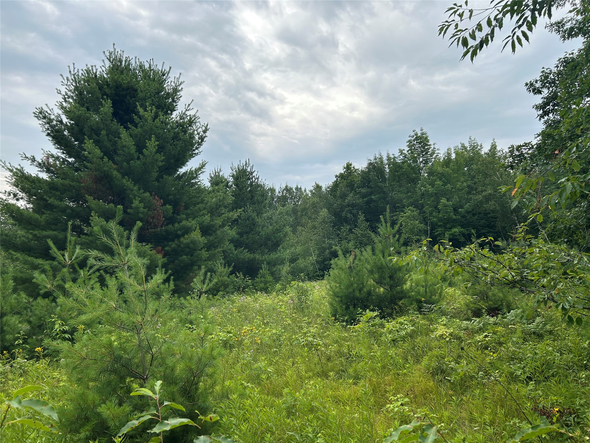 On Strabel Road Property Photo 13
