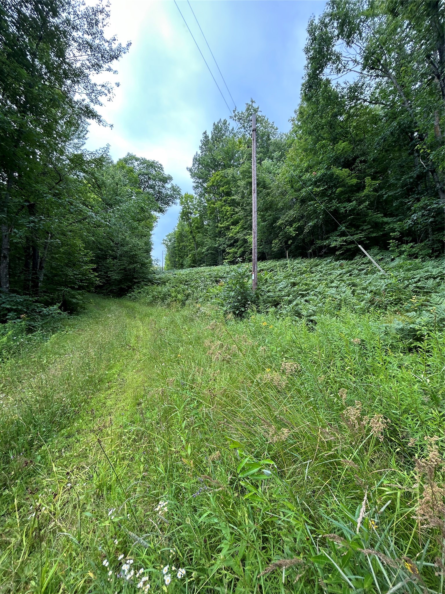 On Strabel Road Property Photo 15