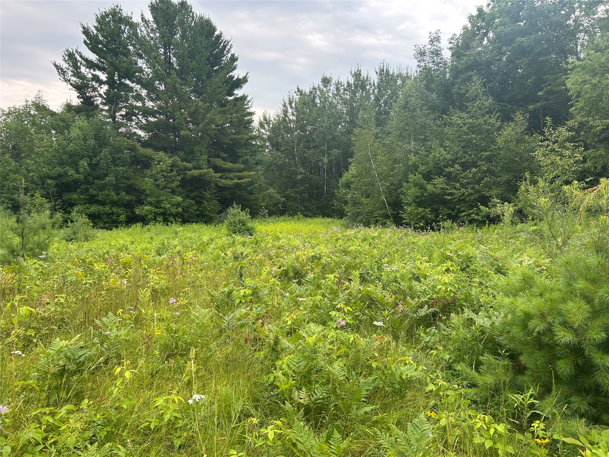 On Strabel Road Property Photo 16