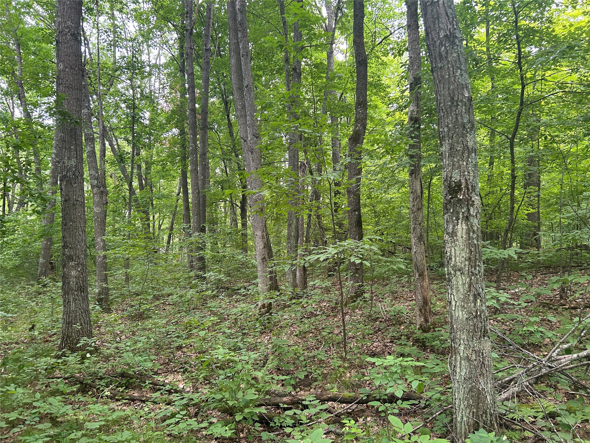 On Strabel Road Property Photo 17