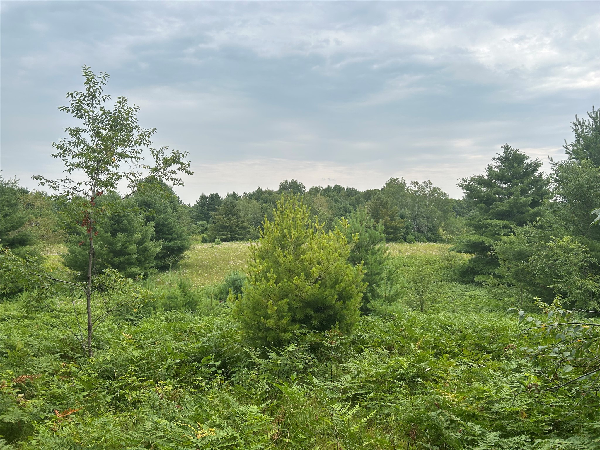 On Strabel Road Property Photo 18