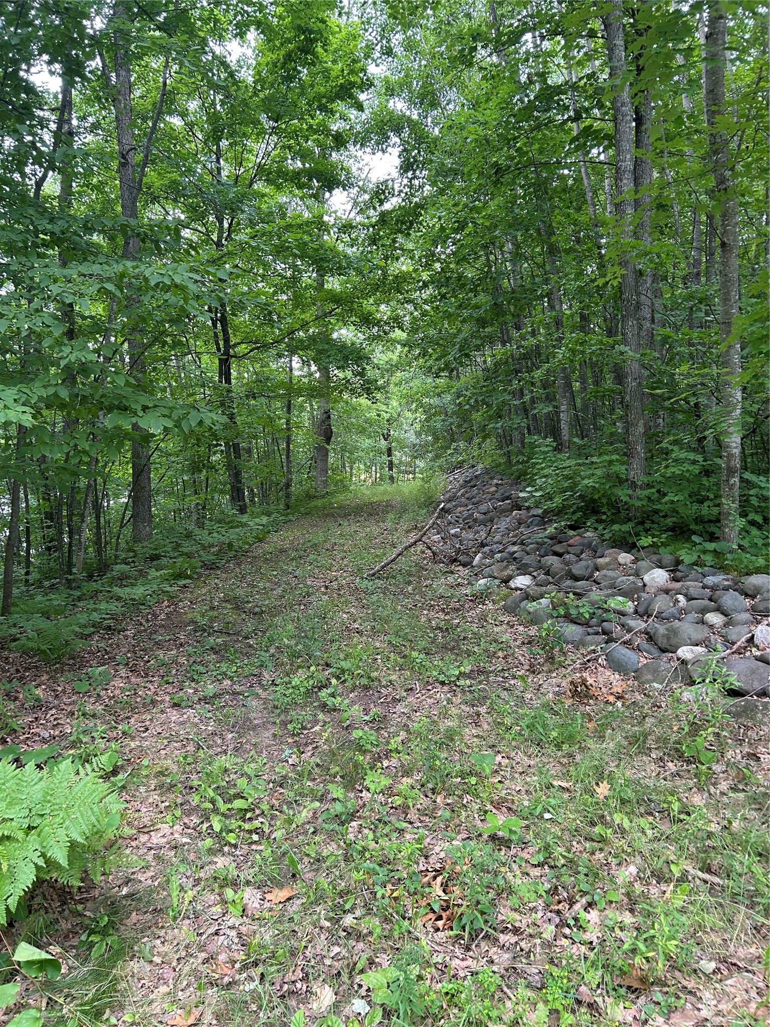 On Strabel Road Property Photo 20