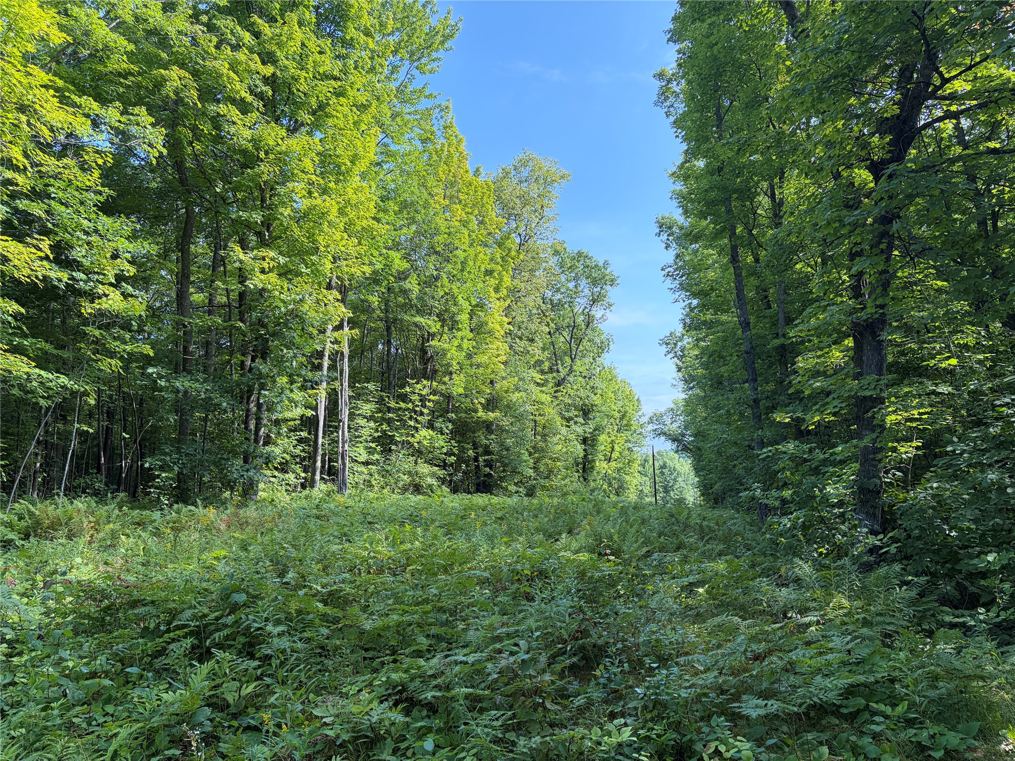 On Strabel Road Property Photo 23
