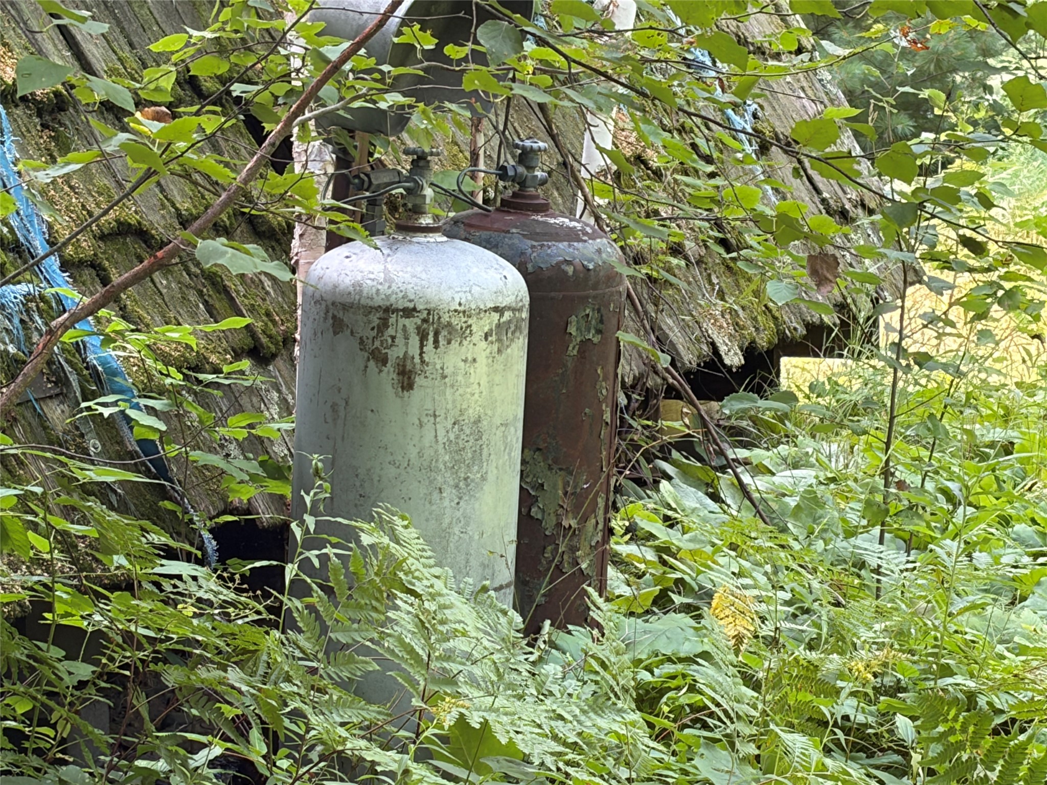 On Strabel Road Property Photo 28