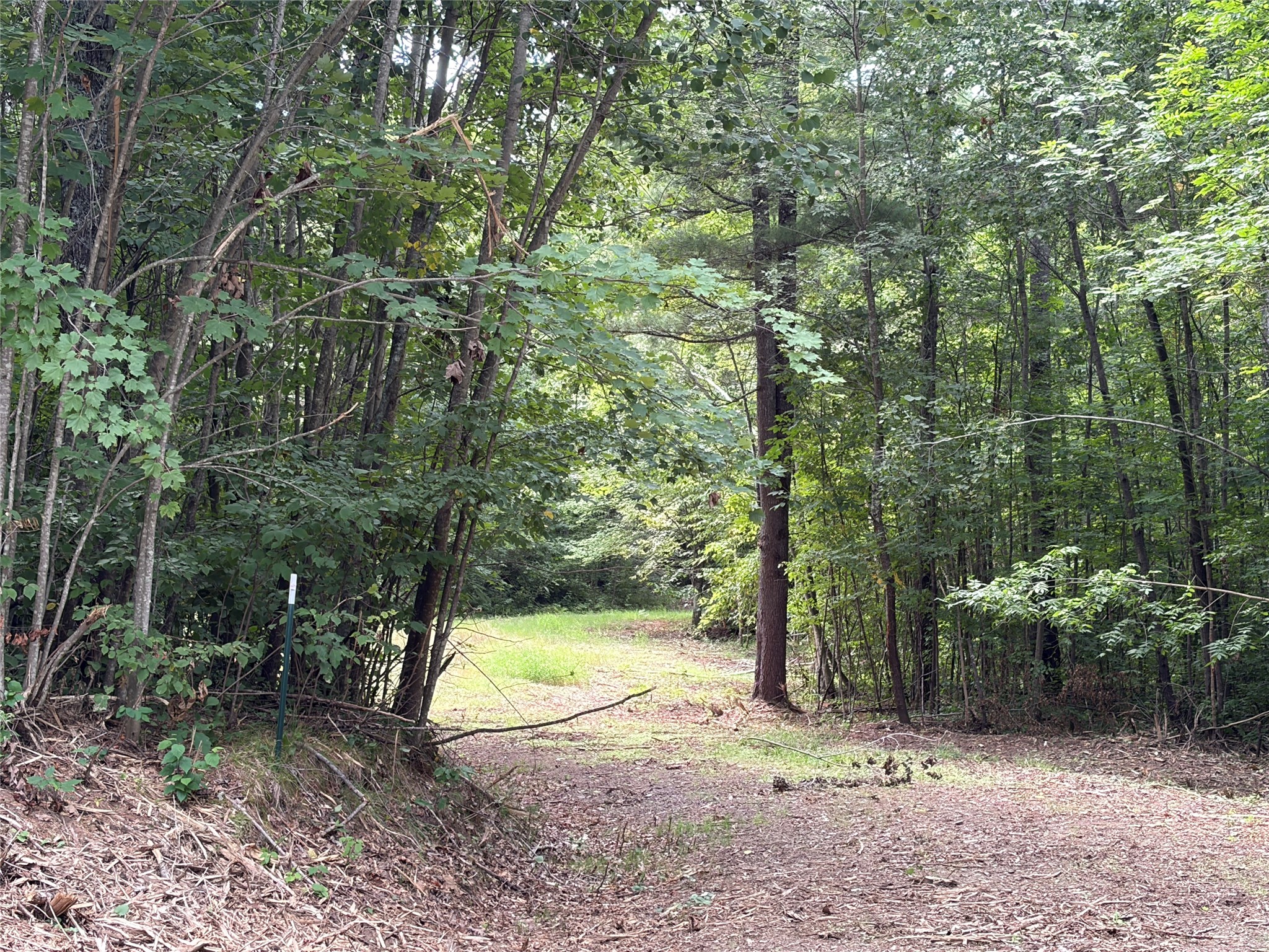 On Strabel Road Property Photo 29