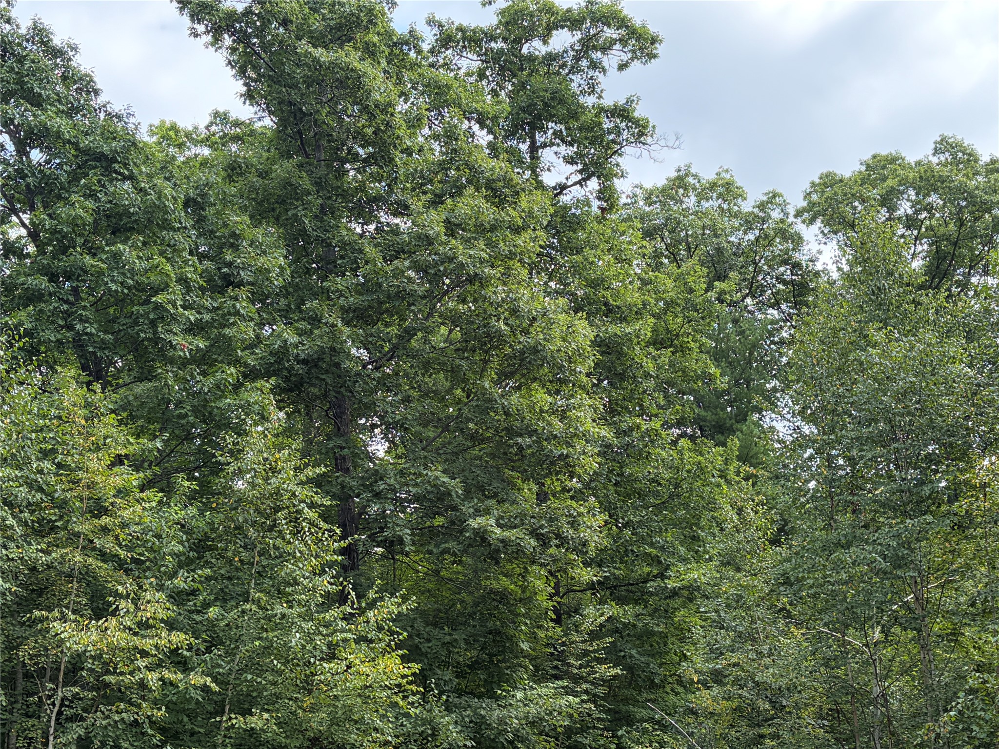 On Strabel Road Property Photo 30