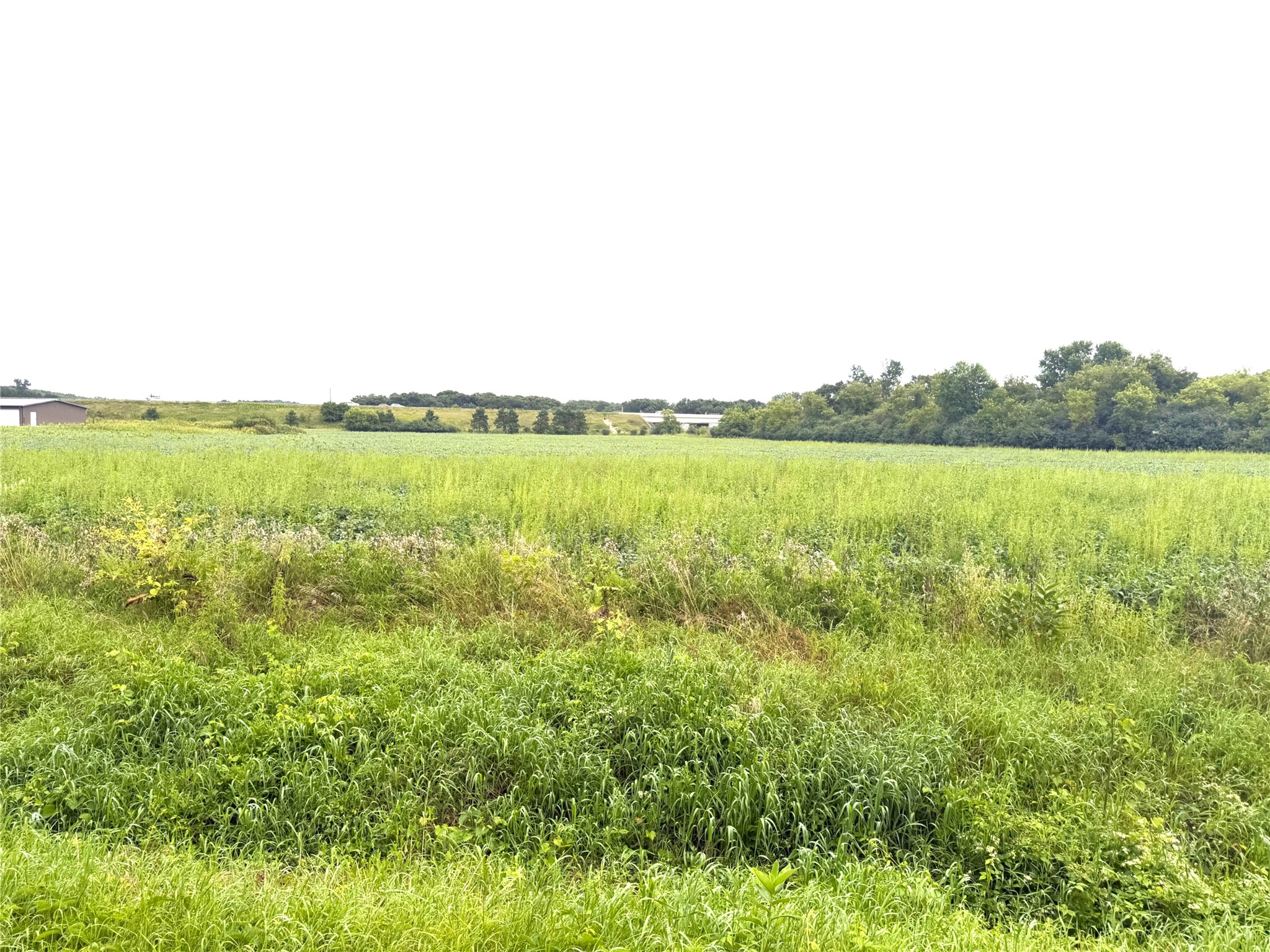 Lot 2 Van Tassel Rd Property Photo 1