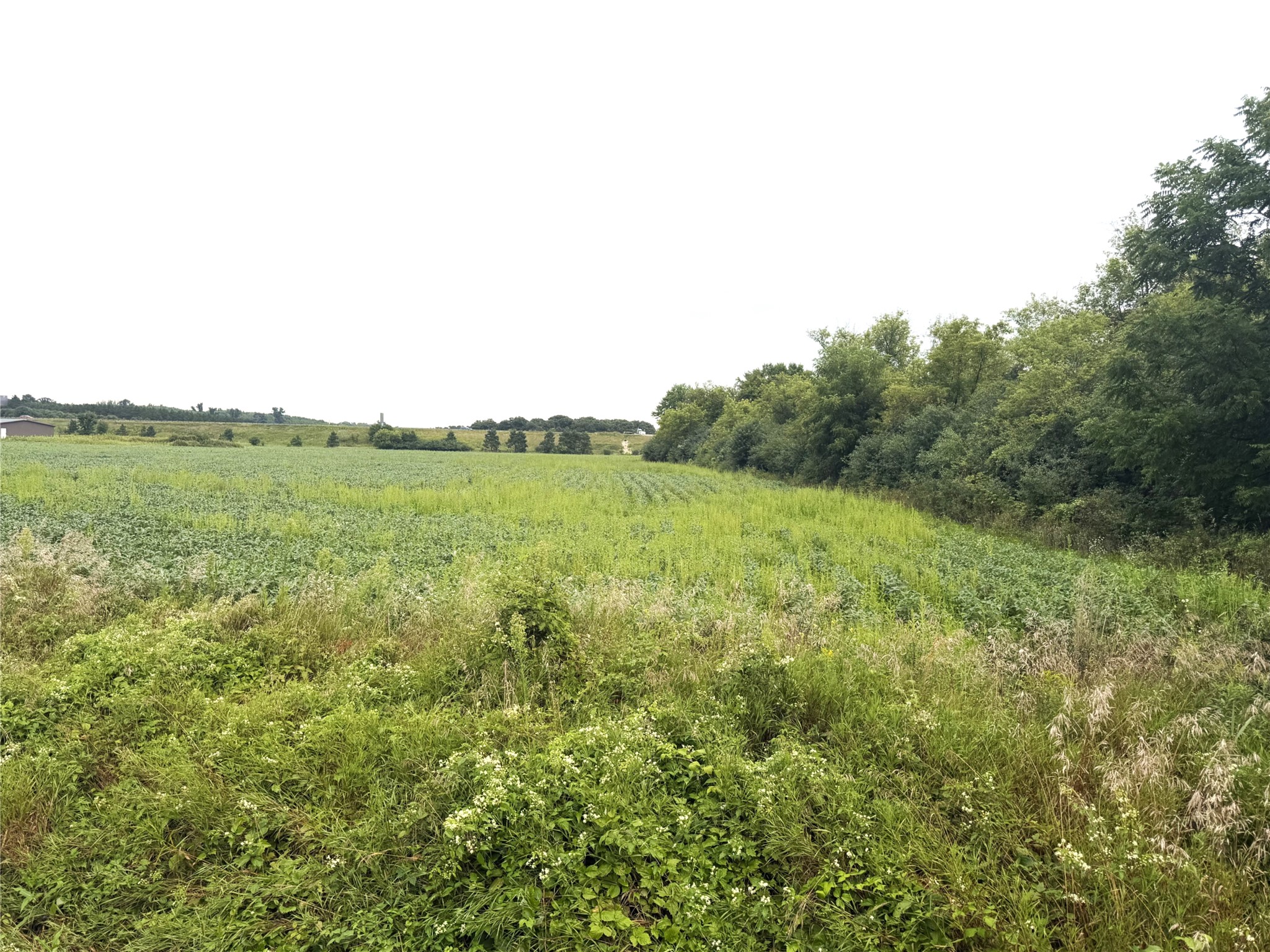 Lot 4 Van Tassel Rd Property Photo 1