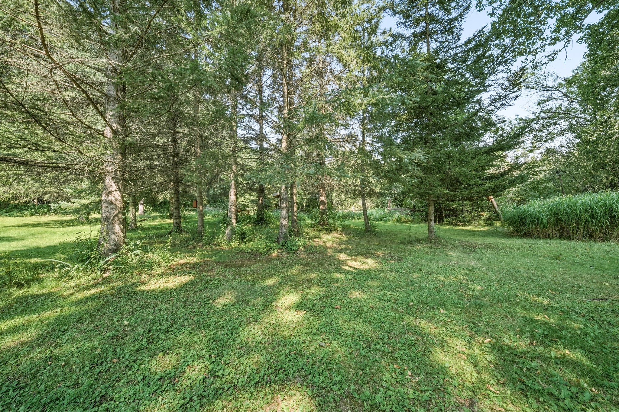 1300 E Ripley Street Property Photo 39