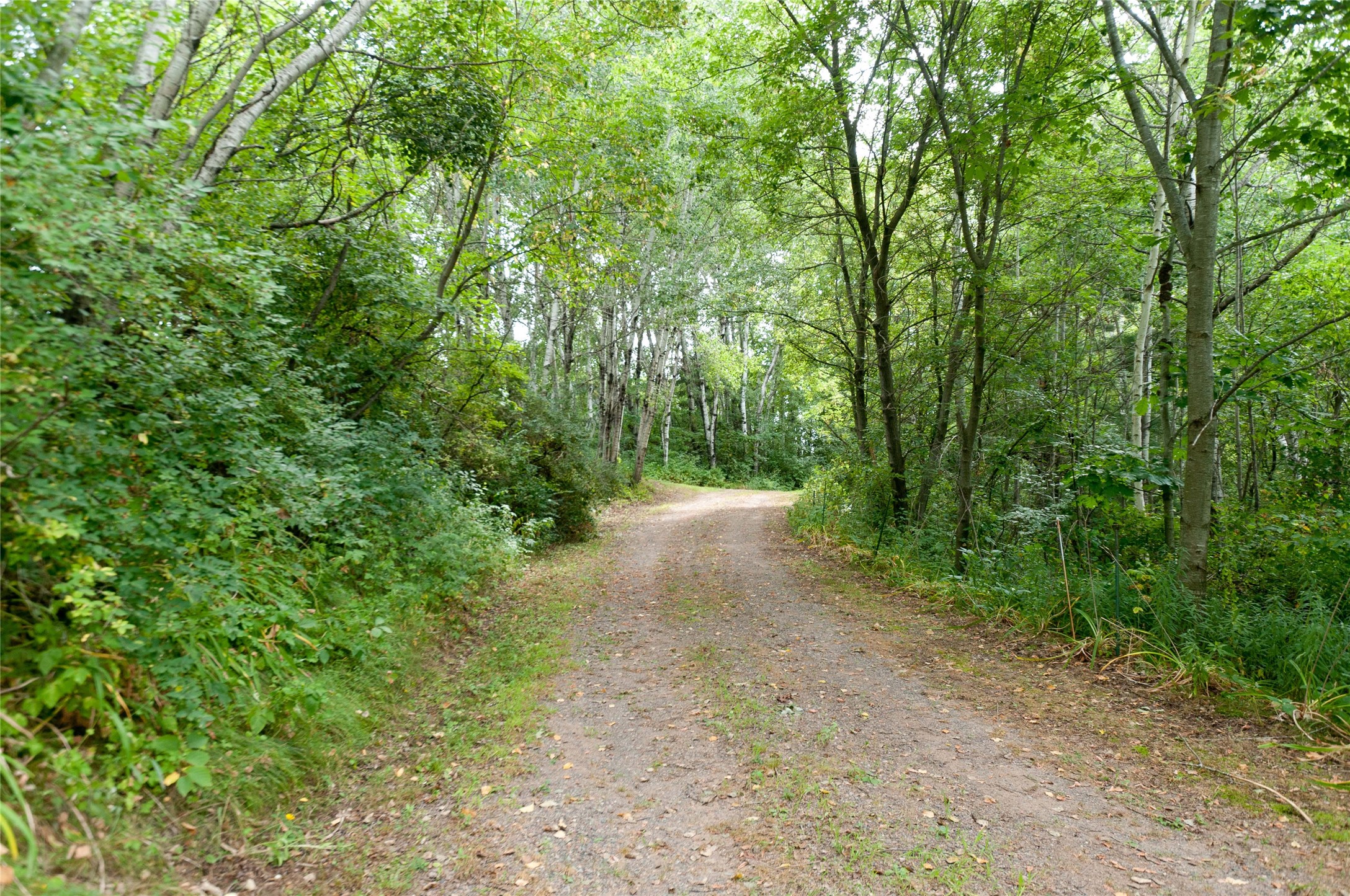 N2387 County Highway P Property Photo 11