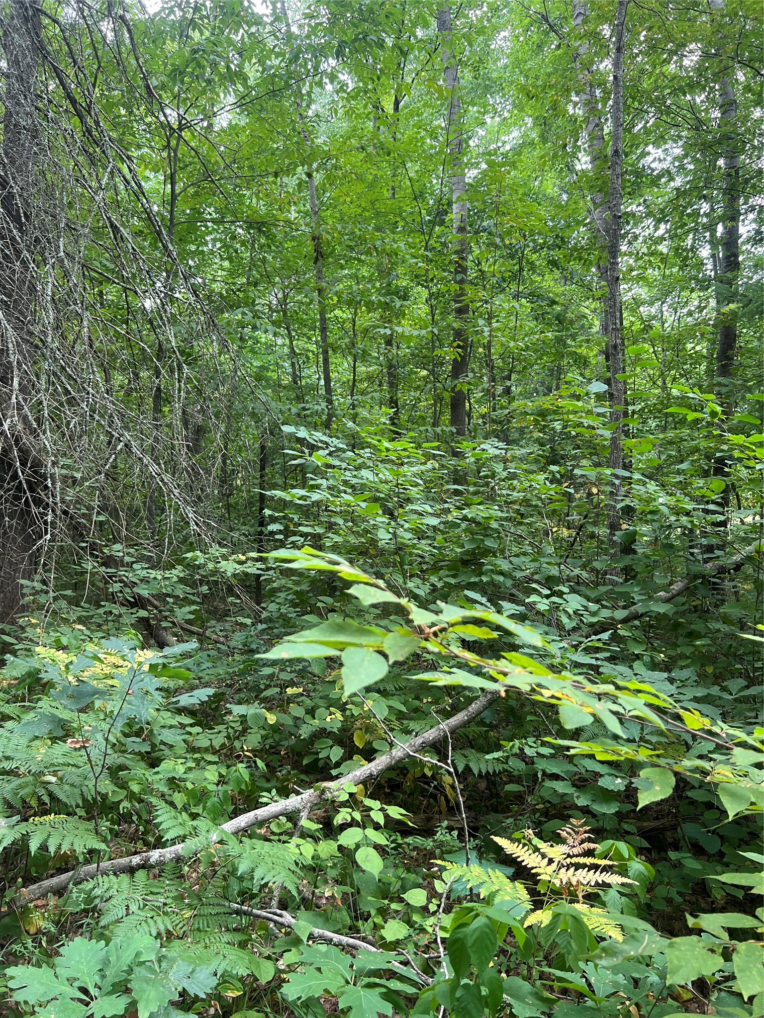 3801 Gaslyn Road Property Photo 23