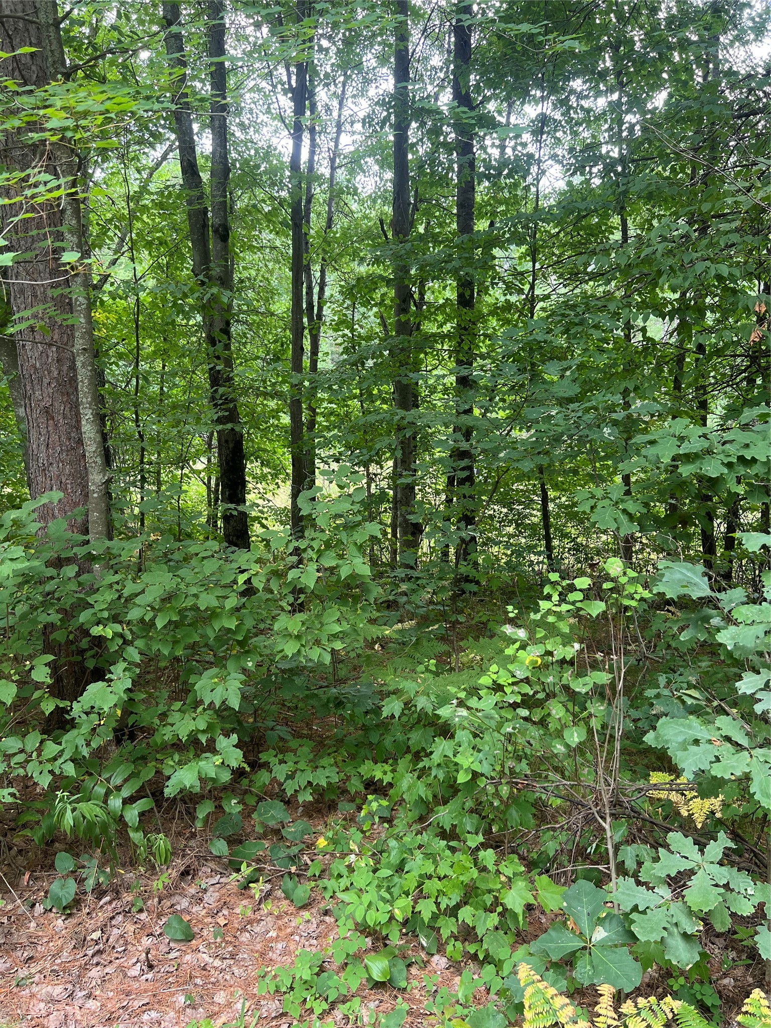 3801 Gaslyn Road Property Photo 26