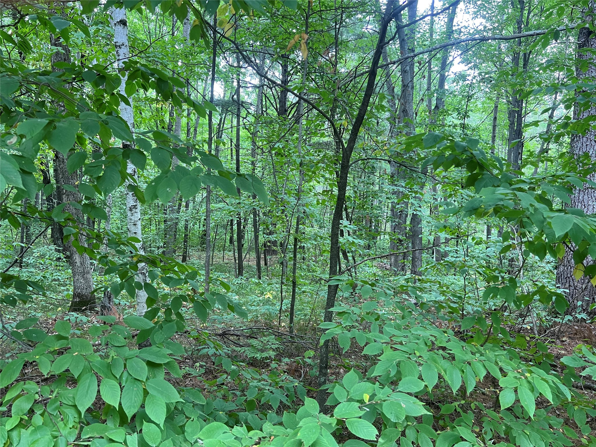 3801 Gaslyn Road Property Photo 27