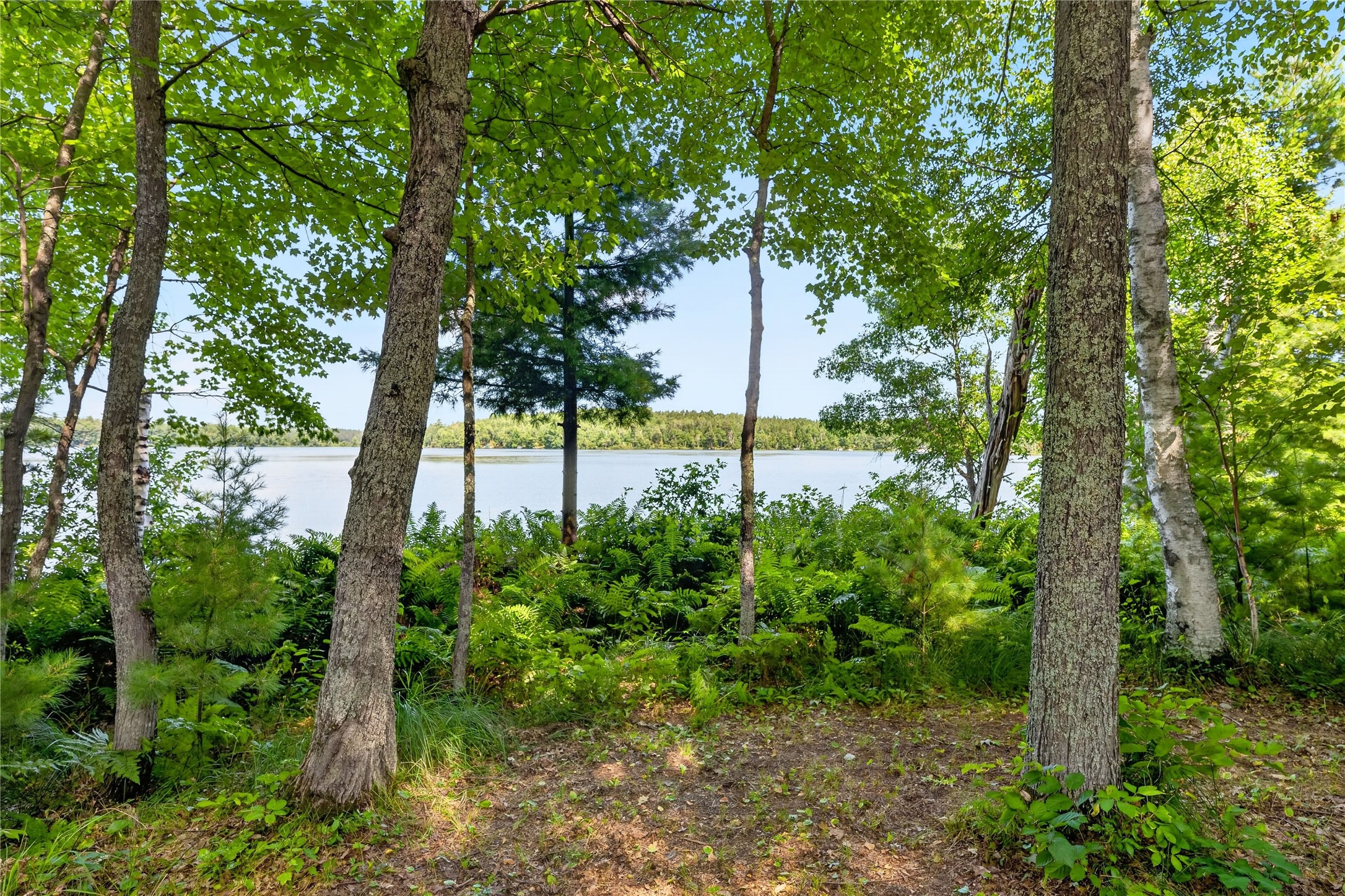 W7988 St Croix Trail Road Property Photo 18