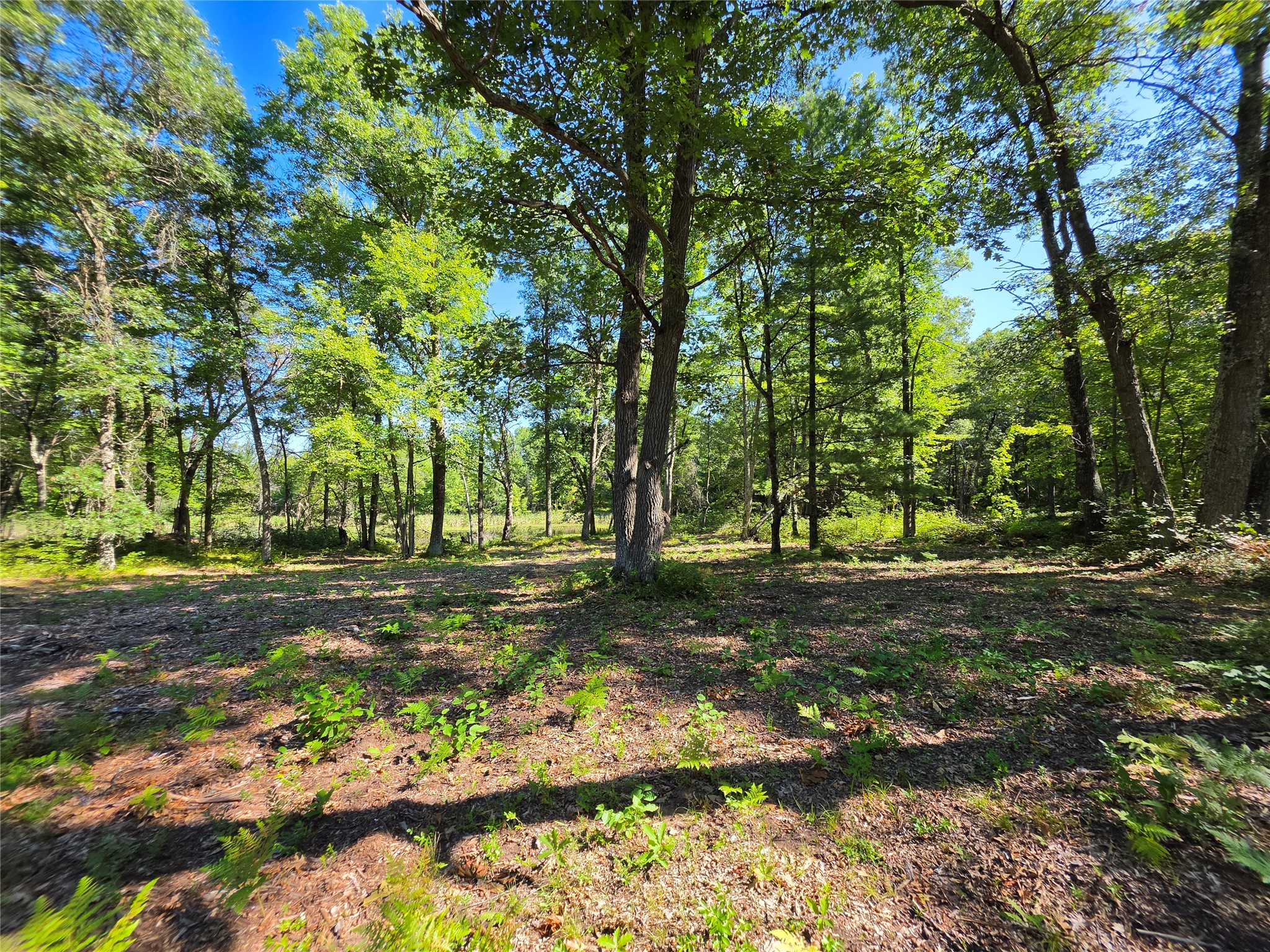 27696 295th Street Property Photo 4