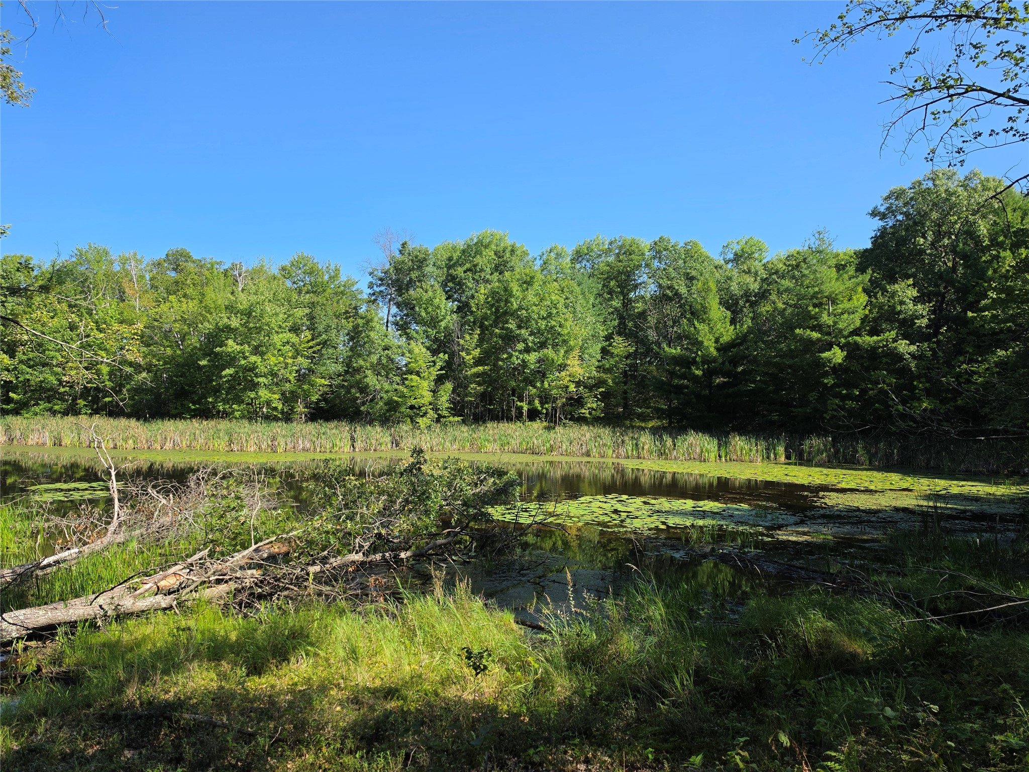 27696 295th Street Property Photo 10