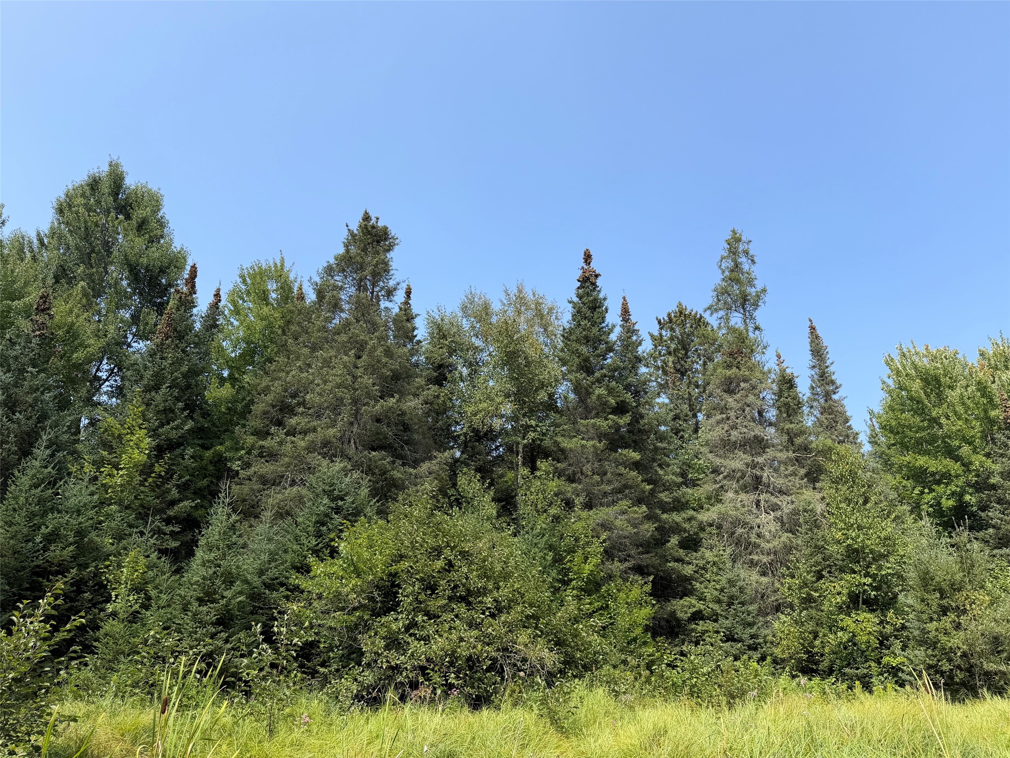 Lot 2 Smith Road Property Photo 19